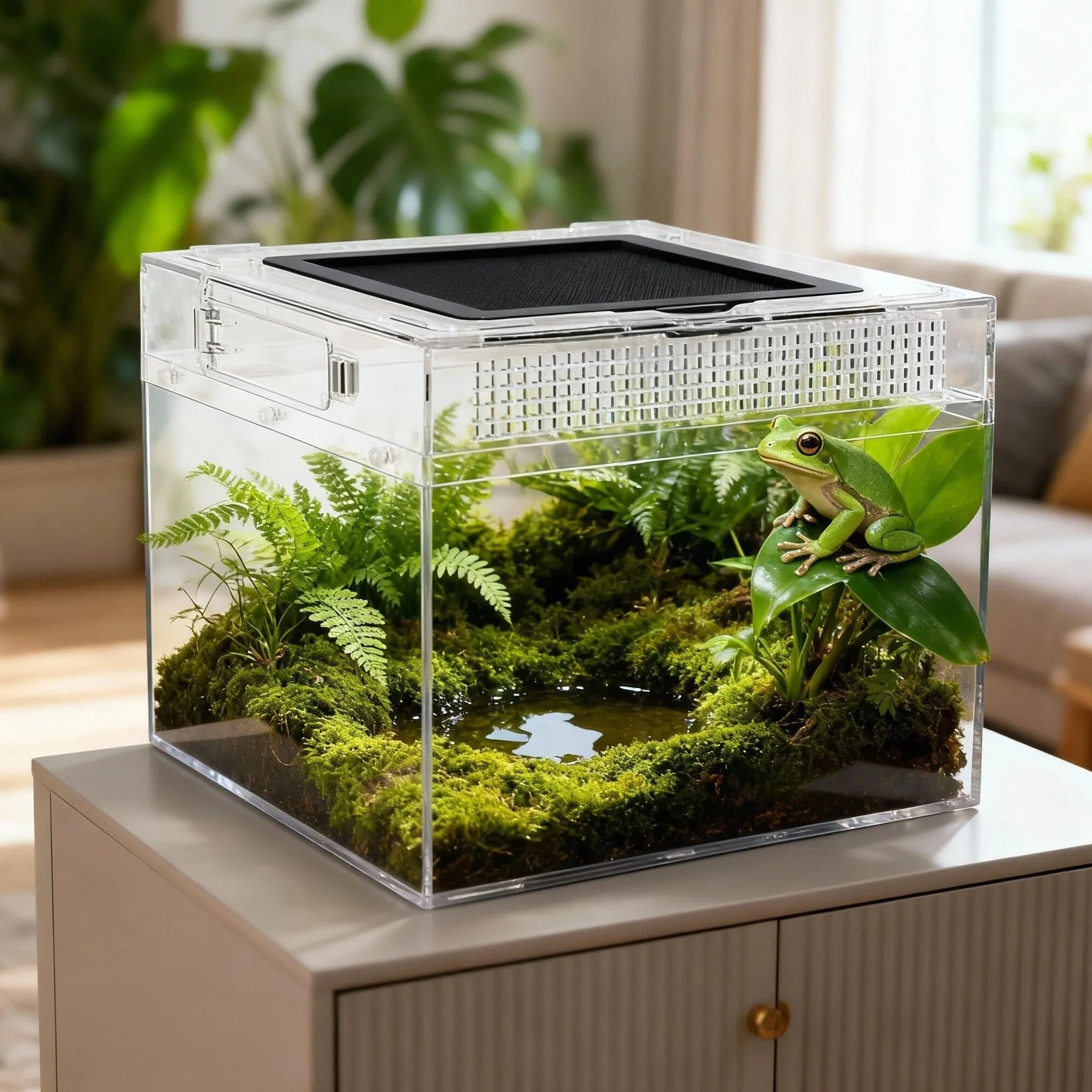 Terrarium pour Reptiles 40x20x25cm Acrylique Transparent avec Trous d'air