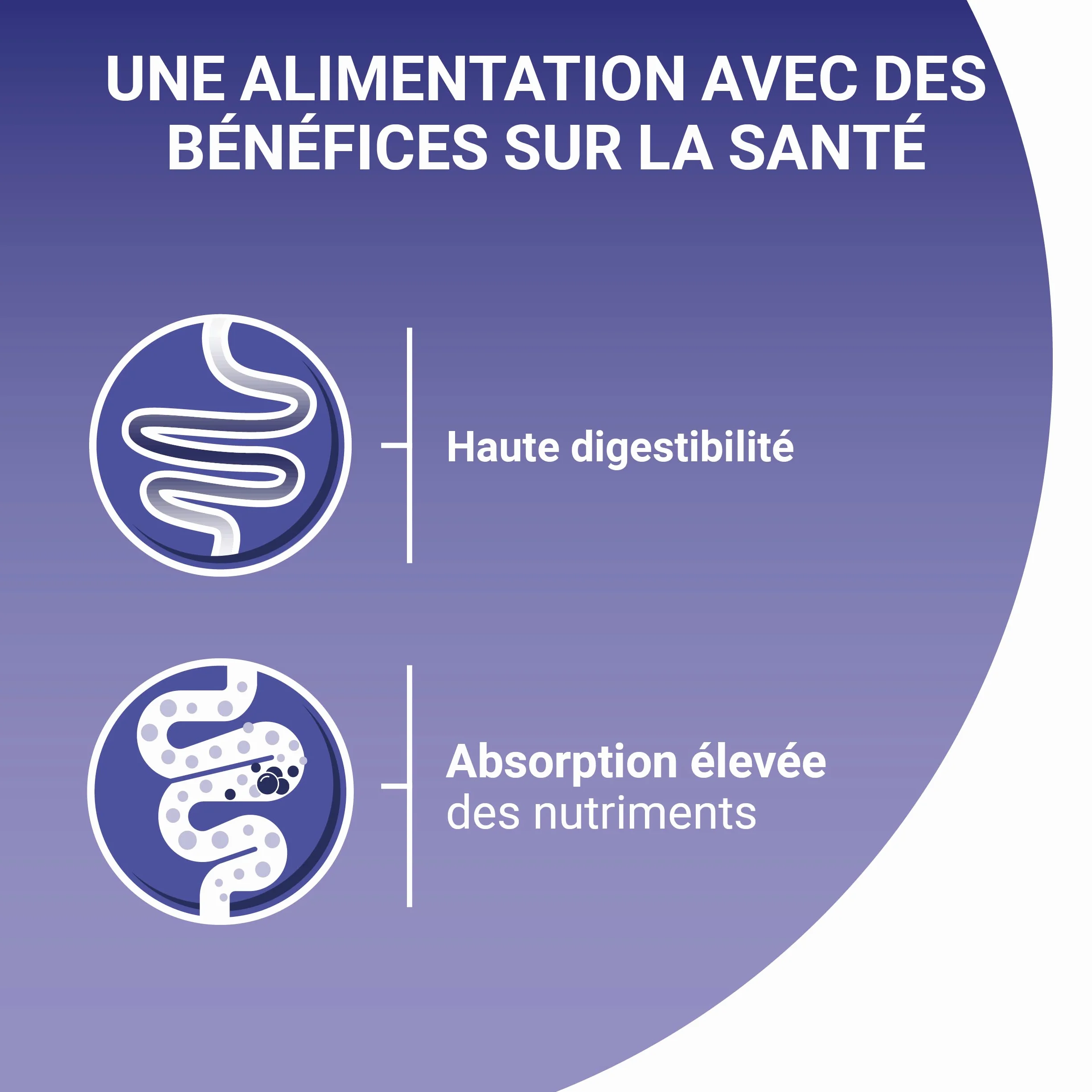 PURINA ONE BIFENSIS Spécial Chat Adulte Sensible Au Poulet et Thon Sachet Repas Lot de 12 (4 x 85g)