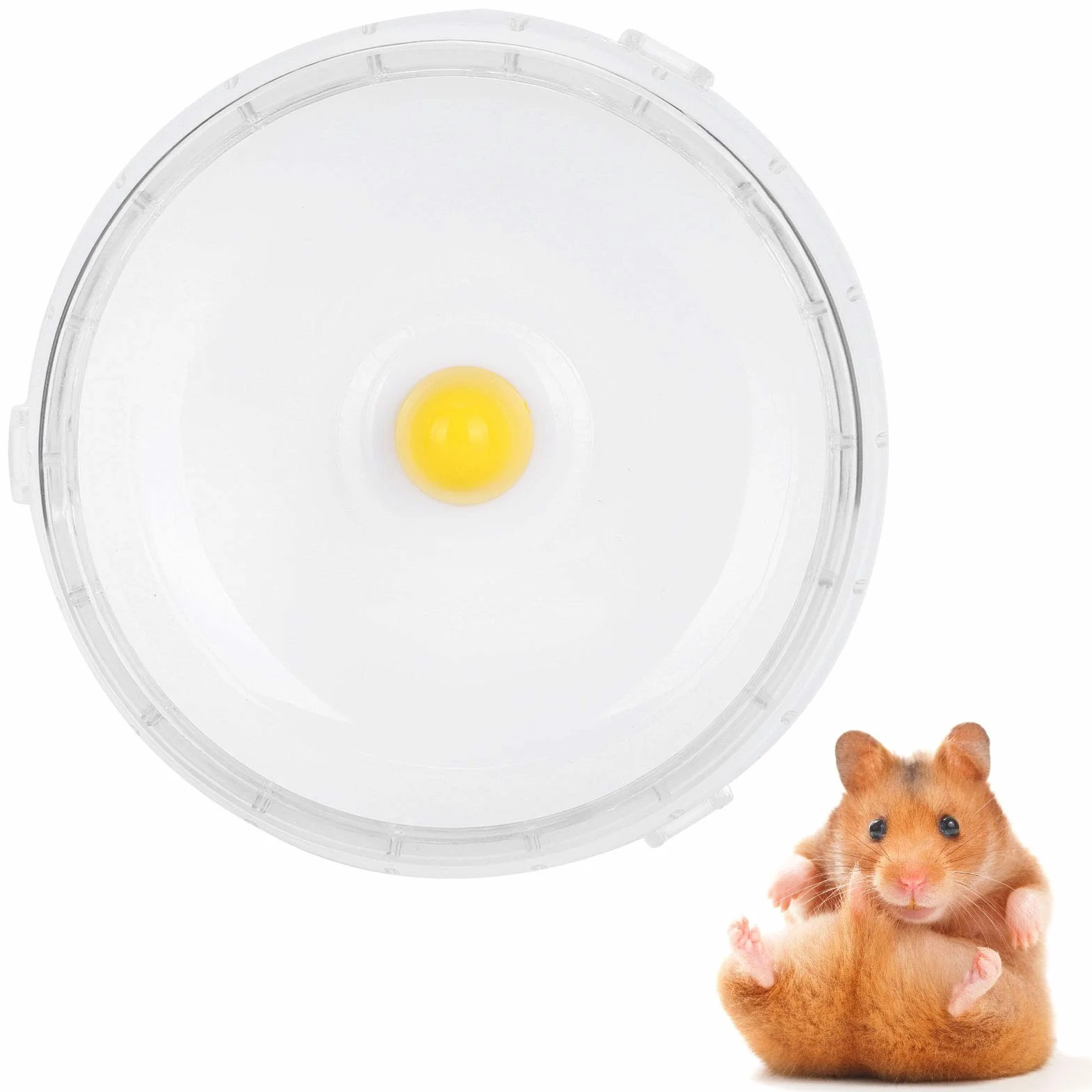 Roue silencieuse pour hamster cochon d'Inde – Roue d'exercice Kano sans support pour hamsters nains, hamsters syriens et petits animaux de compagnie – Roue blanche (21 cm)