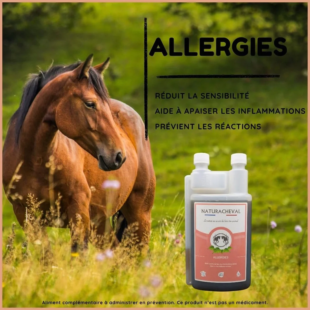 Allergie Cheval & Dermite – Complément Naturel Anti Démangeaisons – Apaise Irritations & Réactions Cutanées