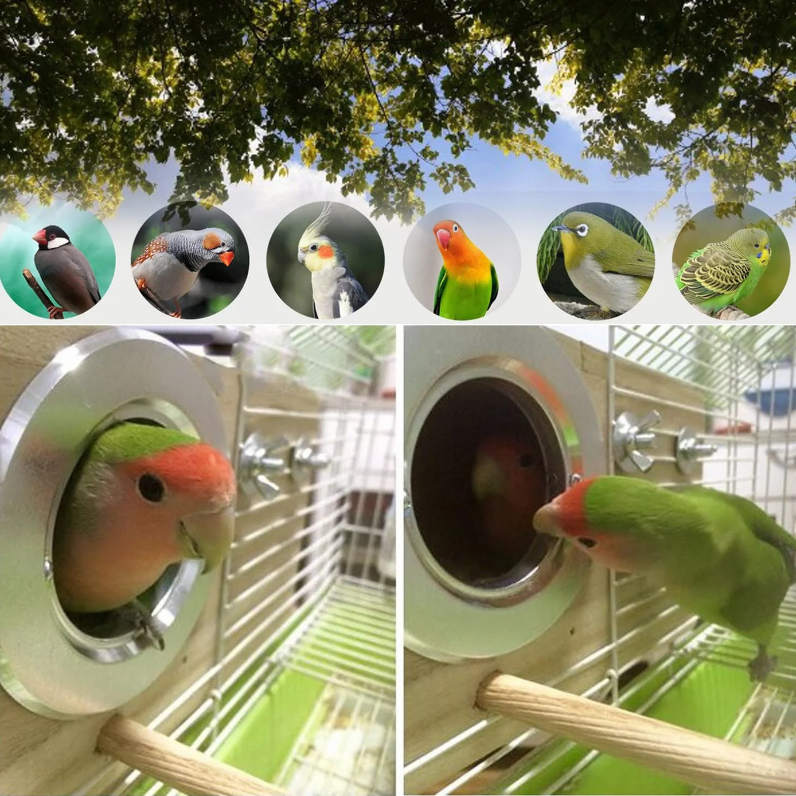 Nichoir à Perruches Extra Large Fabriqué à La Main Bois Naturel 3 Perchoirs Cage d'Élevage pour Calopsittes Perroquets Oiseaux Petite et Moyenne Taille