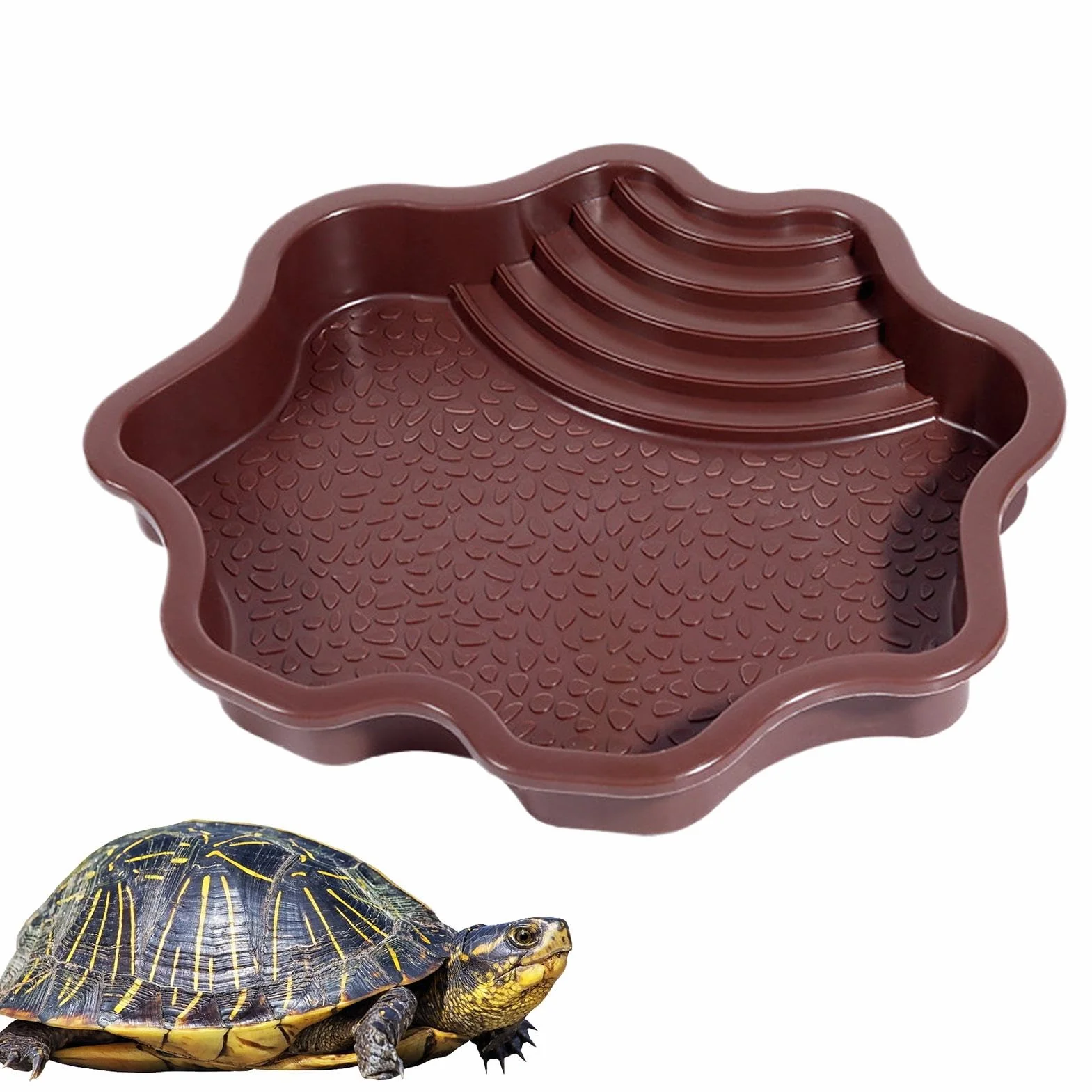 Piscine de baignade pour reptiles avec échelle | Accessoires habitat pour salamandre, dragon barbu, lézard