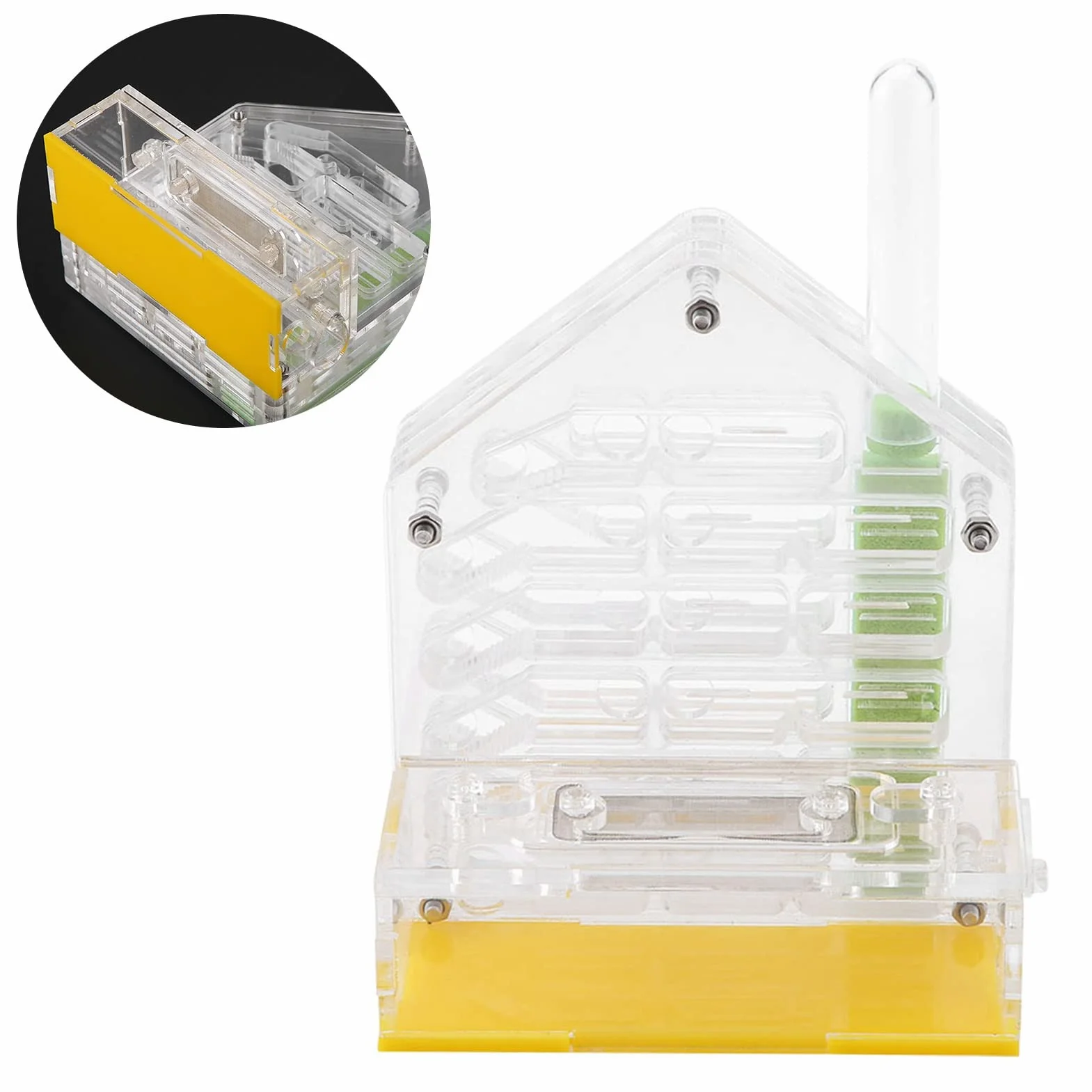 Formicarium Nourriture pour Fourmis 12×11×8 Acrylic Farm The Farm is Alive