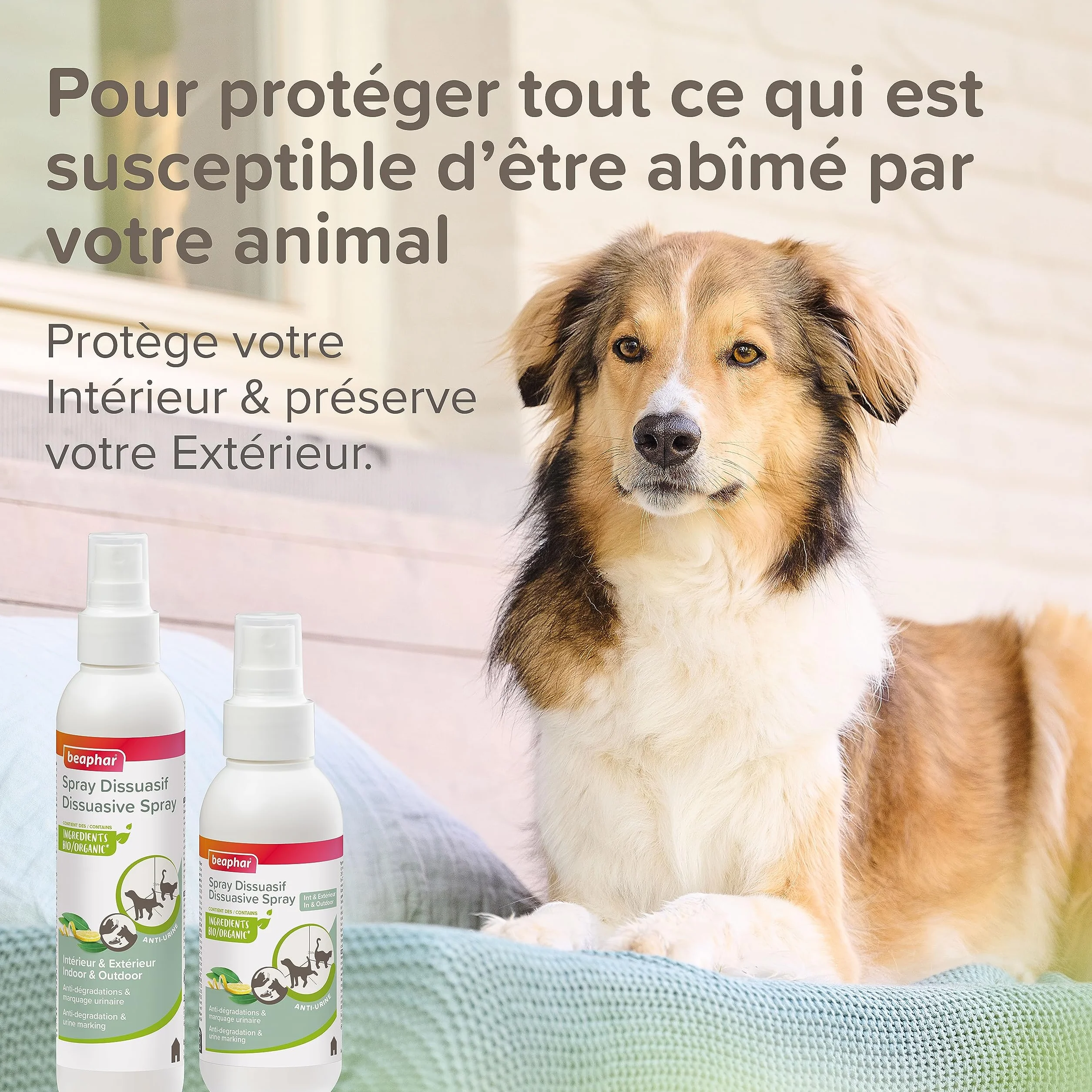 Beaphar Spray Dissuasif Chien Chat Anti-dégradations Anti-marquage urinaire 250ml Fabriqué France