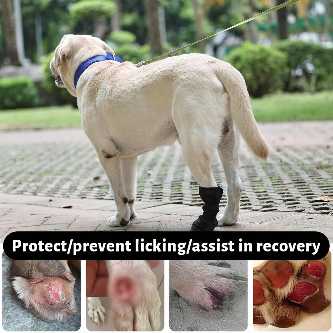 Chaussettes chien taille M imperméables antidérapantes récupération post-op anti-léchage