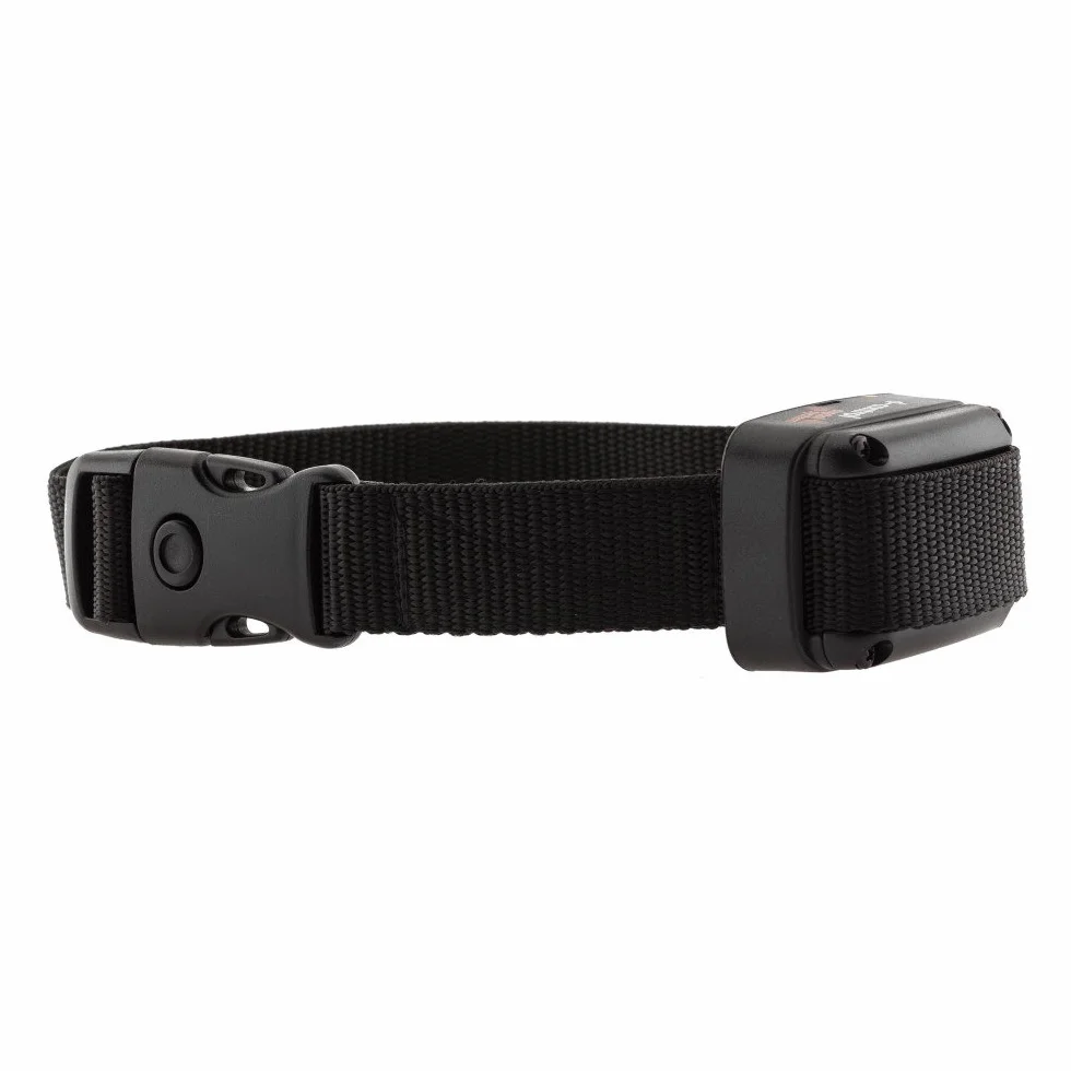 Collier de rechange DOGtrace D-Fence pour clôture invisible chien