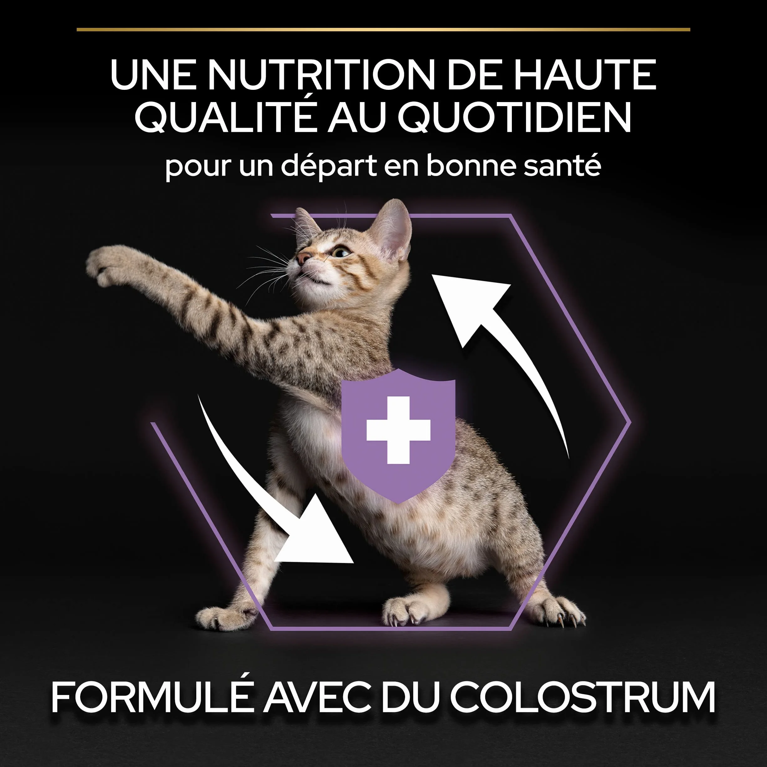 Pro Plan Kitten 1-12 mois HEALTHY START Poulet 1,5kg