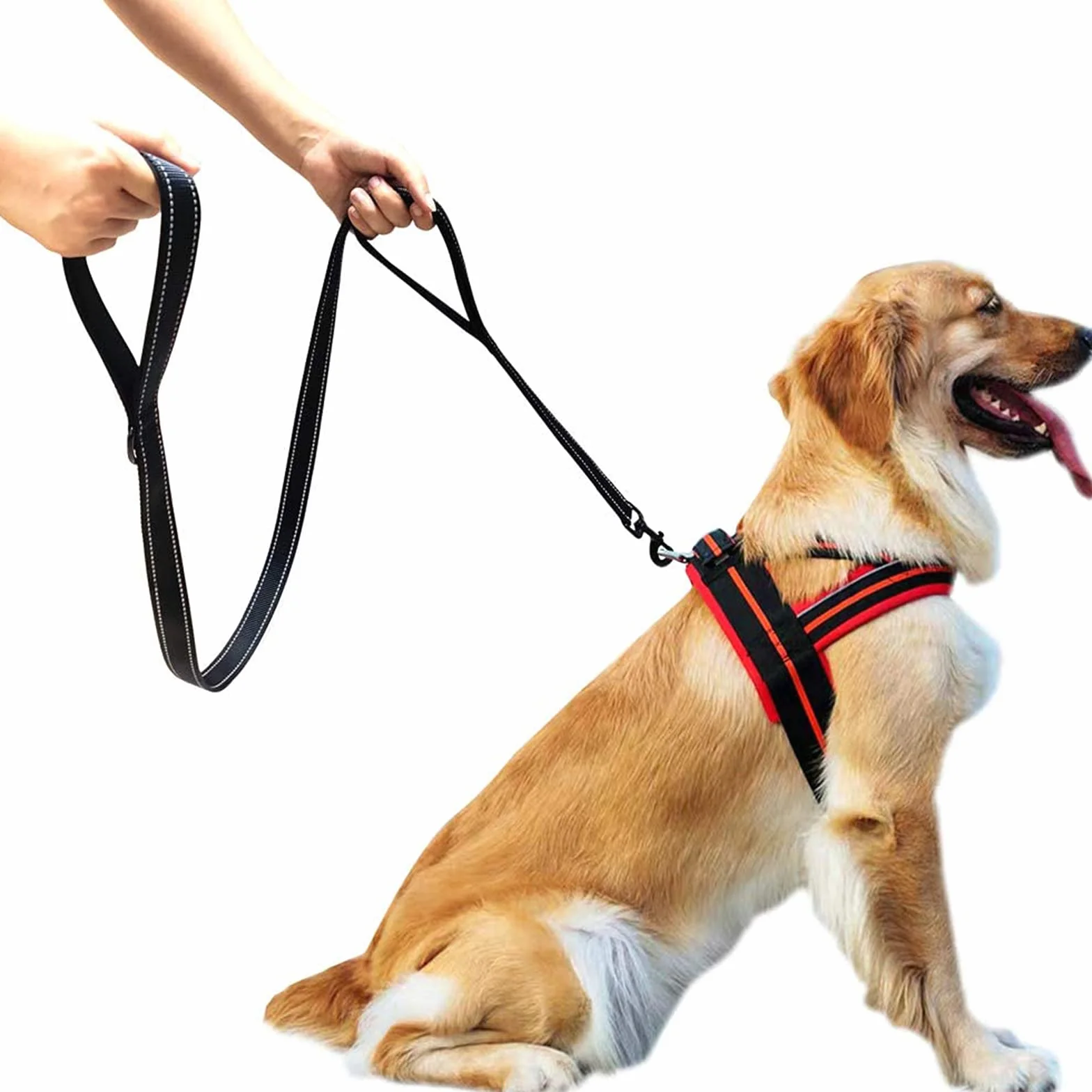 Laisse de Dressage à Double poignée 1,5 mètre Réfléchissante pour Chiens Grands et Moyens