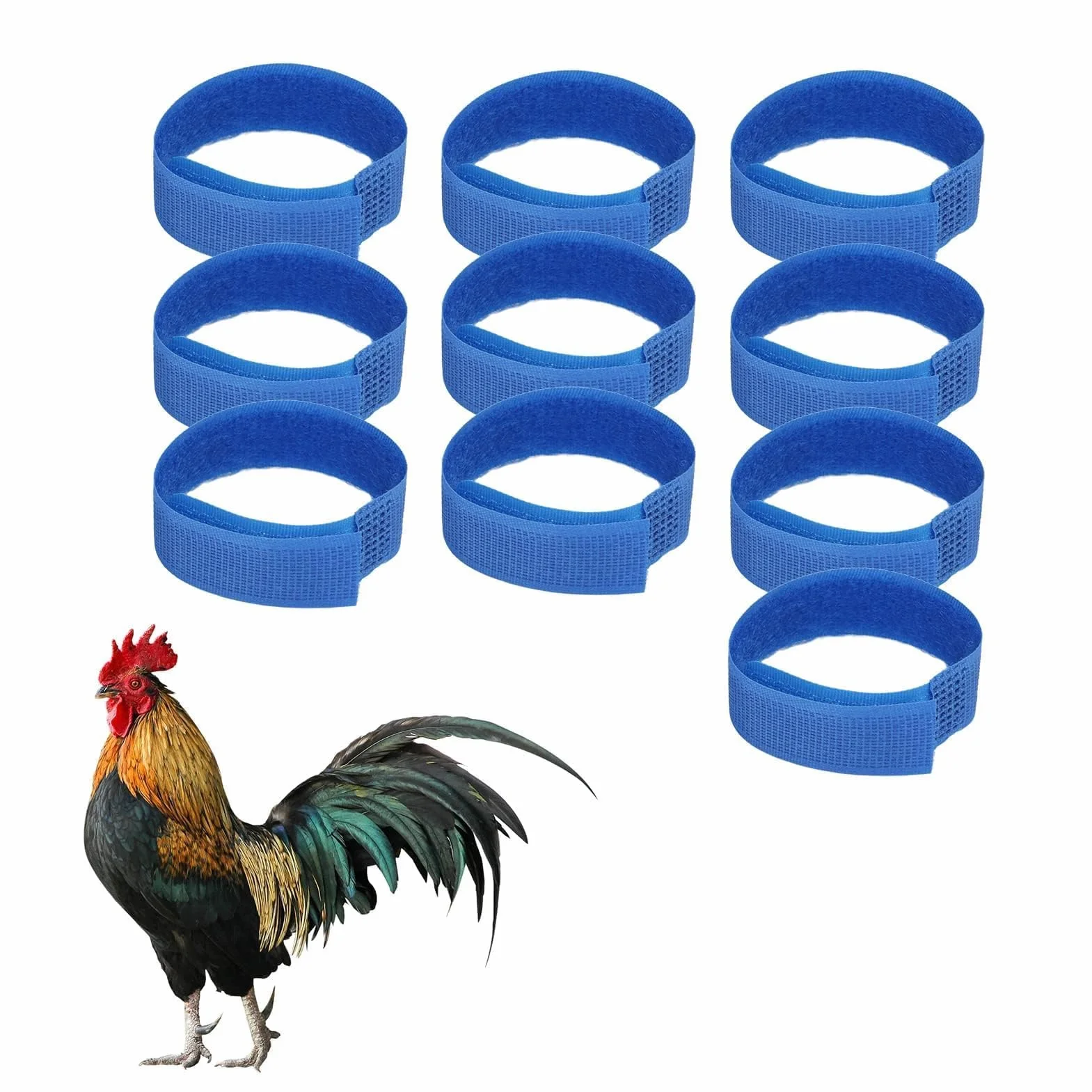 Agatige 10 Collier de Coq Réglable pour Poules, Anti-Crochets et Anti-Bruit, Bleu