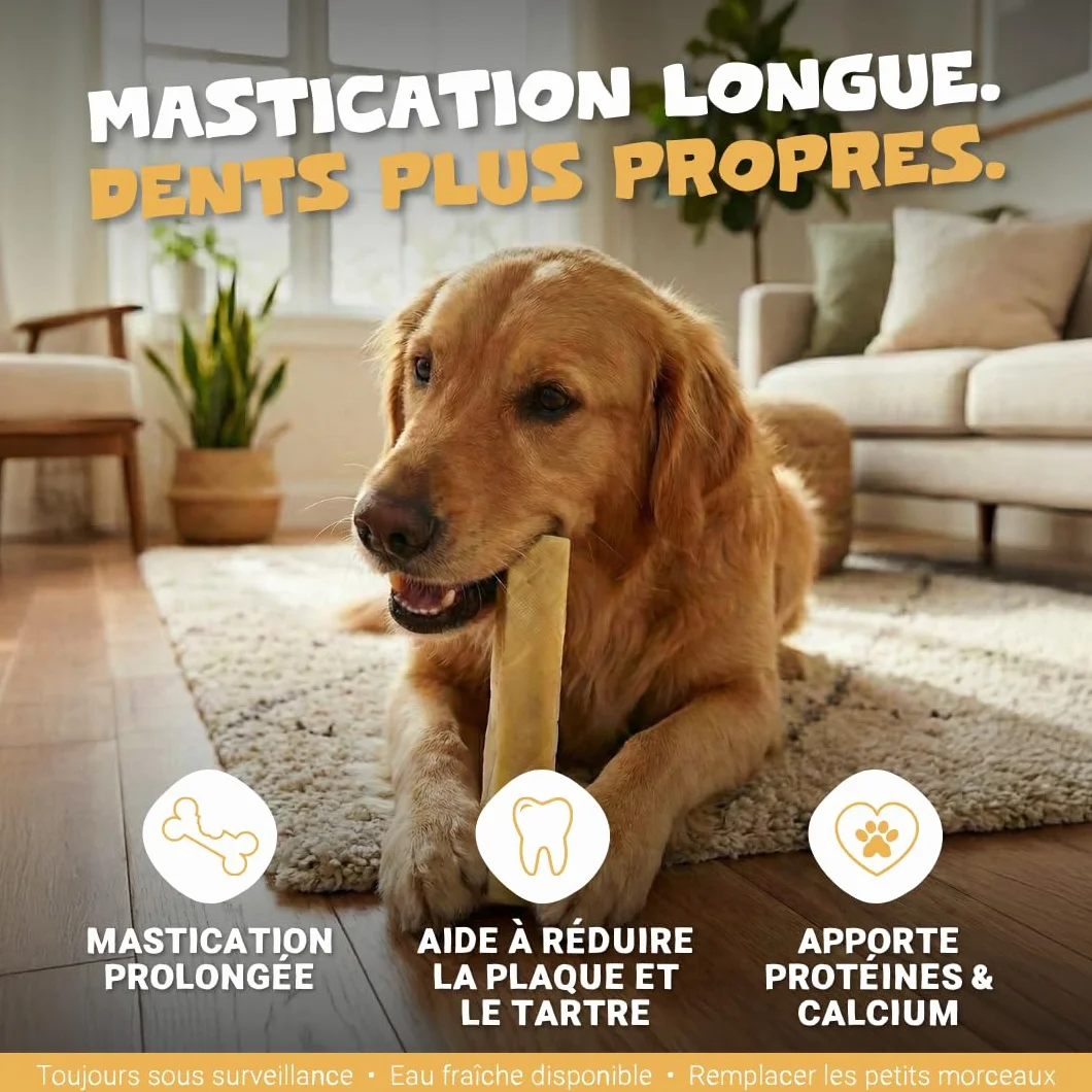 Pets Purest Barres au Lait de Yak de l'Himalayan à Mâcher Large - Friandises Naturelles Os au Fromage pour Chiens