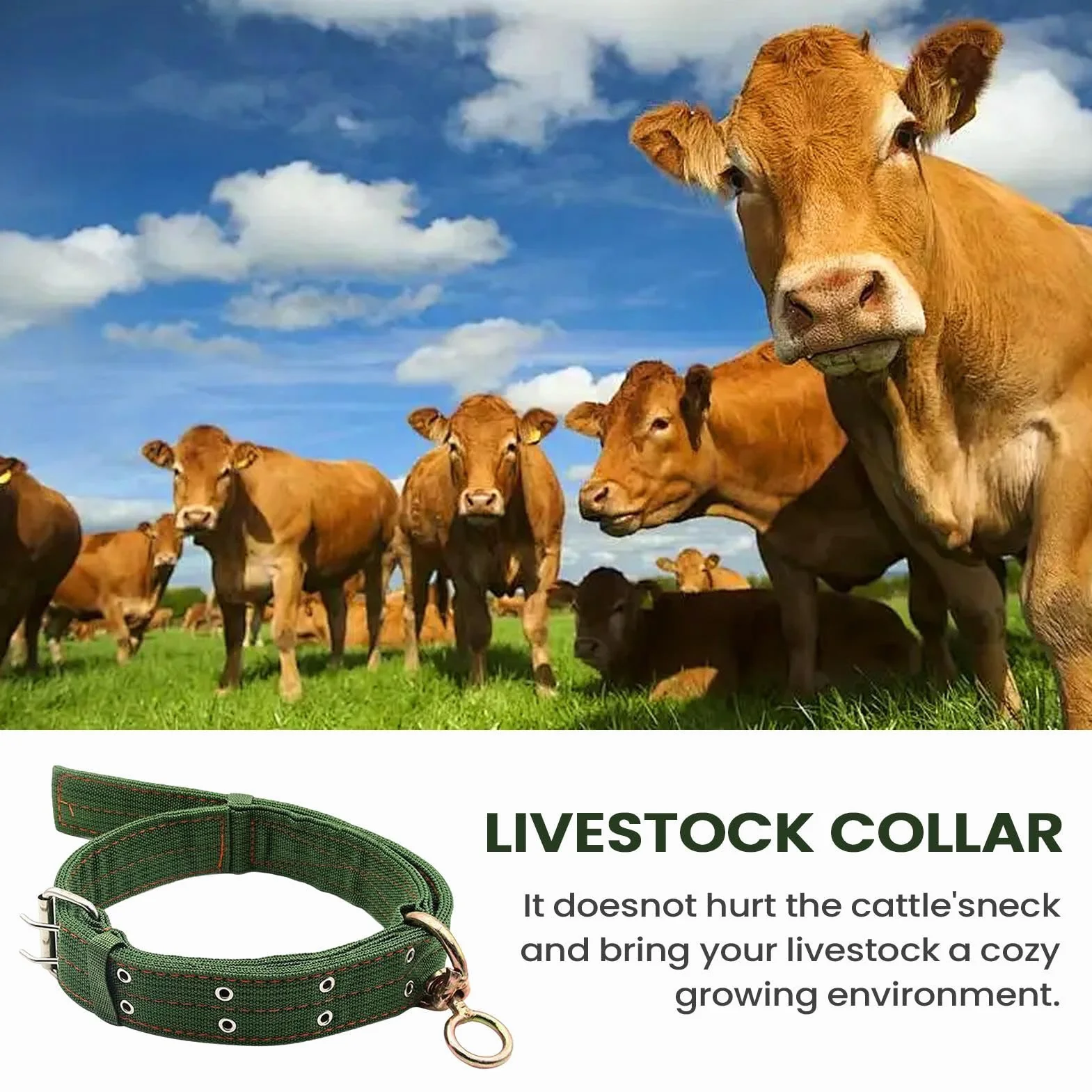 Collier Pour Chèvre | Collier Pour Cheval Et Mouton | Bande De Traction Abrasion Résistante Pour Petit Animal De Ferme Veau Vache | Pour Alimentation Transport Élevage Pâturage