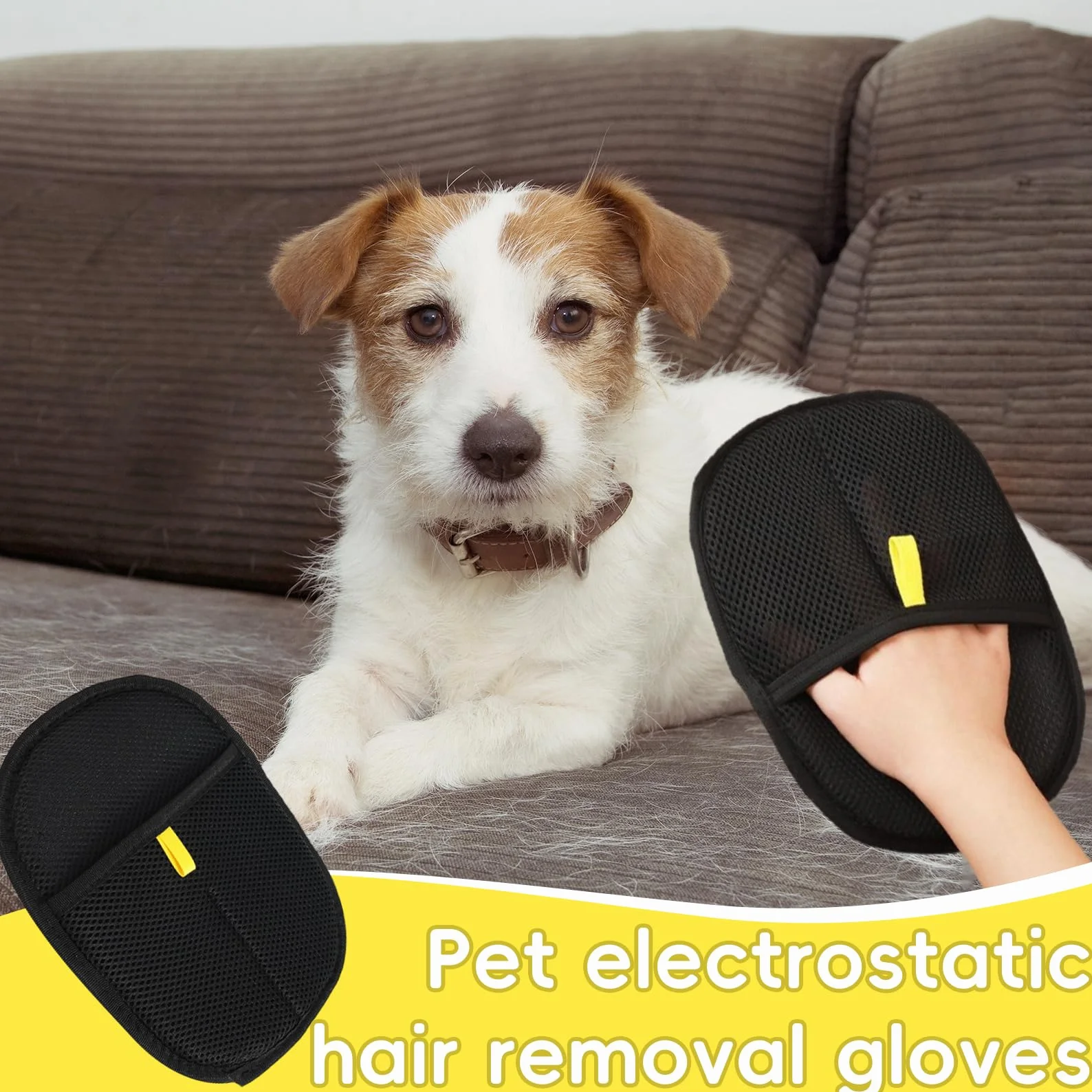 Gant Anti Poils Animaux Brosse Poil Chat 2 Pièces Toilettage