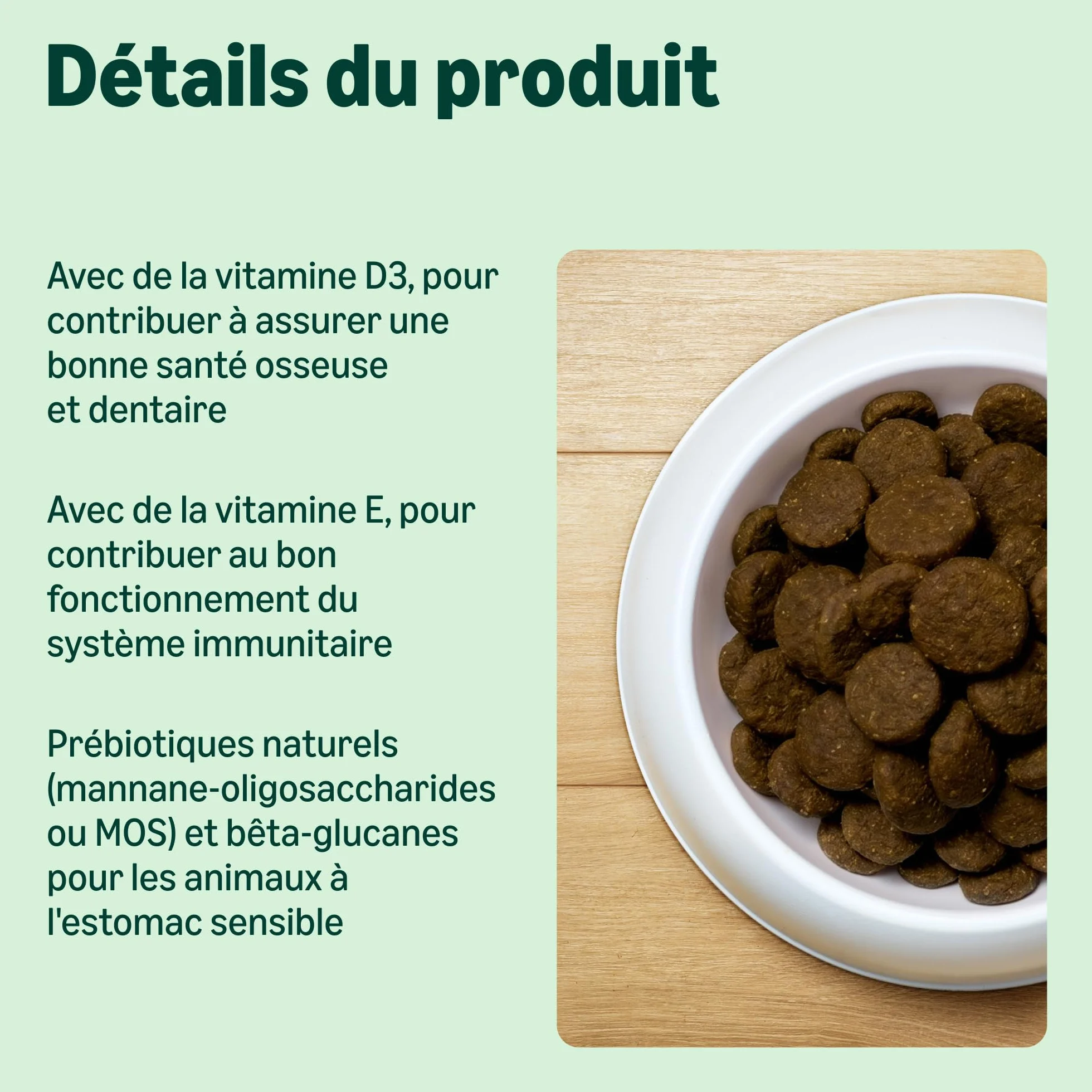 Amazon Complete Croquettes complètes pour chiens adultes, riche en poulet et riz, 5 kg