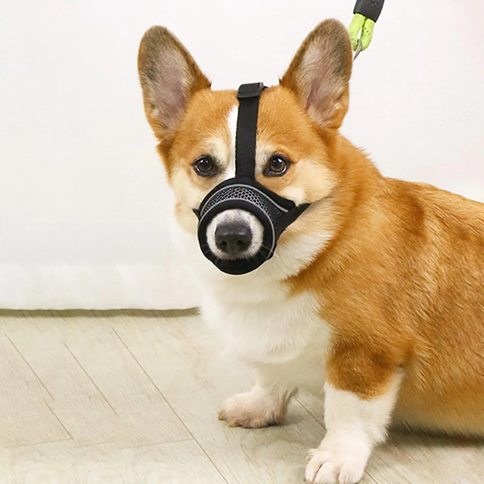 JSTHHTT Muselière pour Chien 2 Pièces, Muselière pour Petits Chiens de Taille Moyenne, Muselière pour Chien en Maille Douce et Respirante, Anti-Mastication, Aboiement, (L)