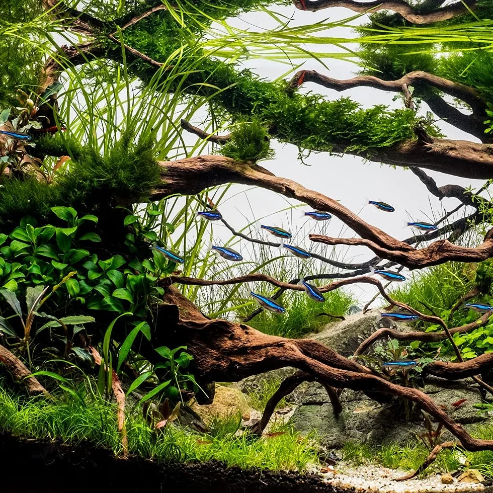 AquaOne Tuyau d'aquarium 16/22 mm 5 m I Tuyau d'aquarium de qualité supérieure Diamètre intérieur 16 mm I Tuyau d'arrosage flexible I Tuyau de pompe pour le nettoyage et le changement d'eau dans les