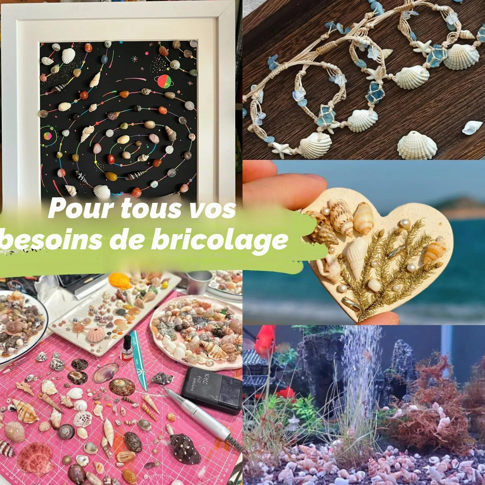 1200 pièces coquillages de mer et 10 étoiles de mer - Mélange coquillages plage spirale pour aquarium vase décoration fête thème plage