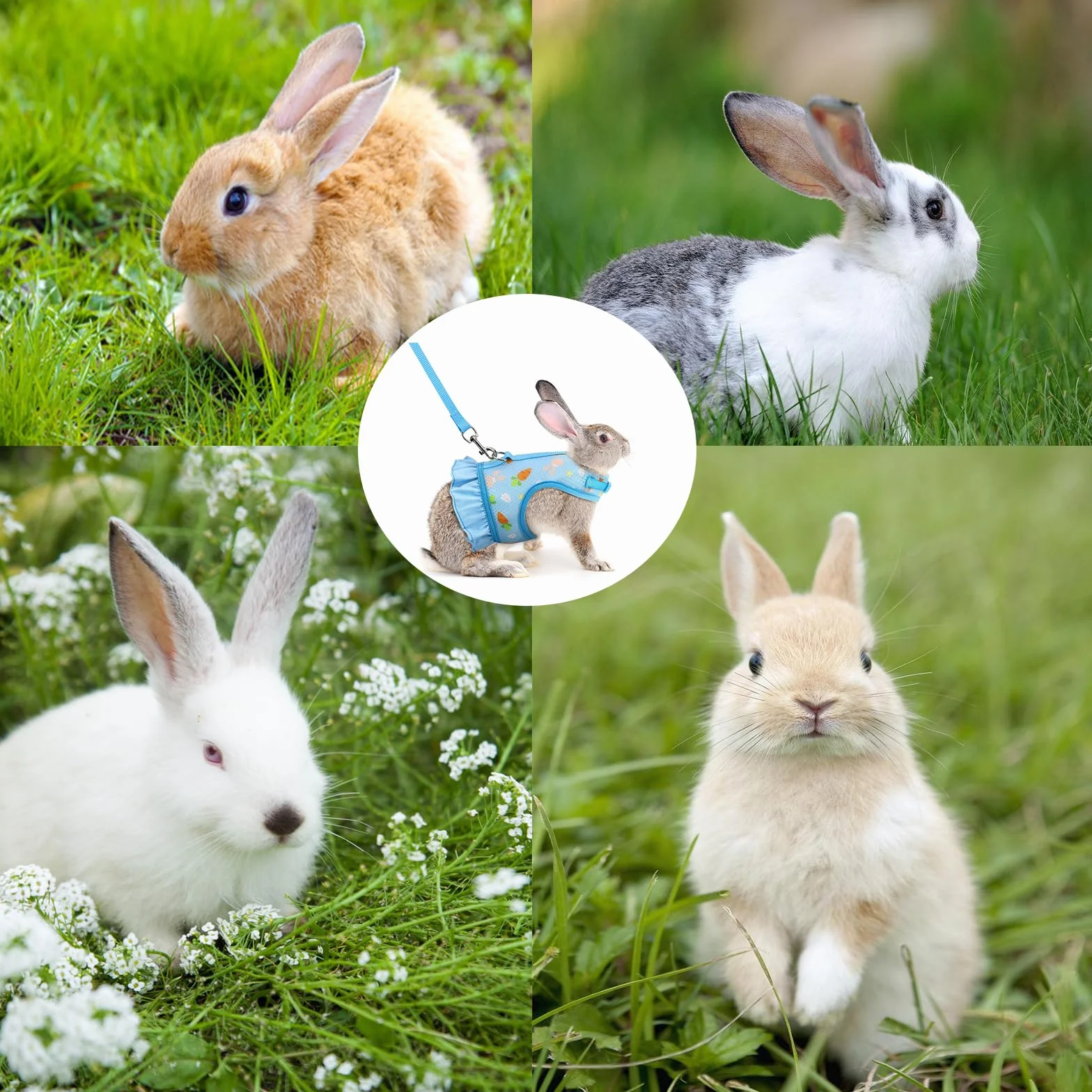 Harnais Réglable Et Laisse pour Lapins Gilet Respirant en Maille Douce pour Petits Animaux Chats Cochons d'Inde Sécurité EtEconfort Idéal pour Lapins Nains (Bleu)