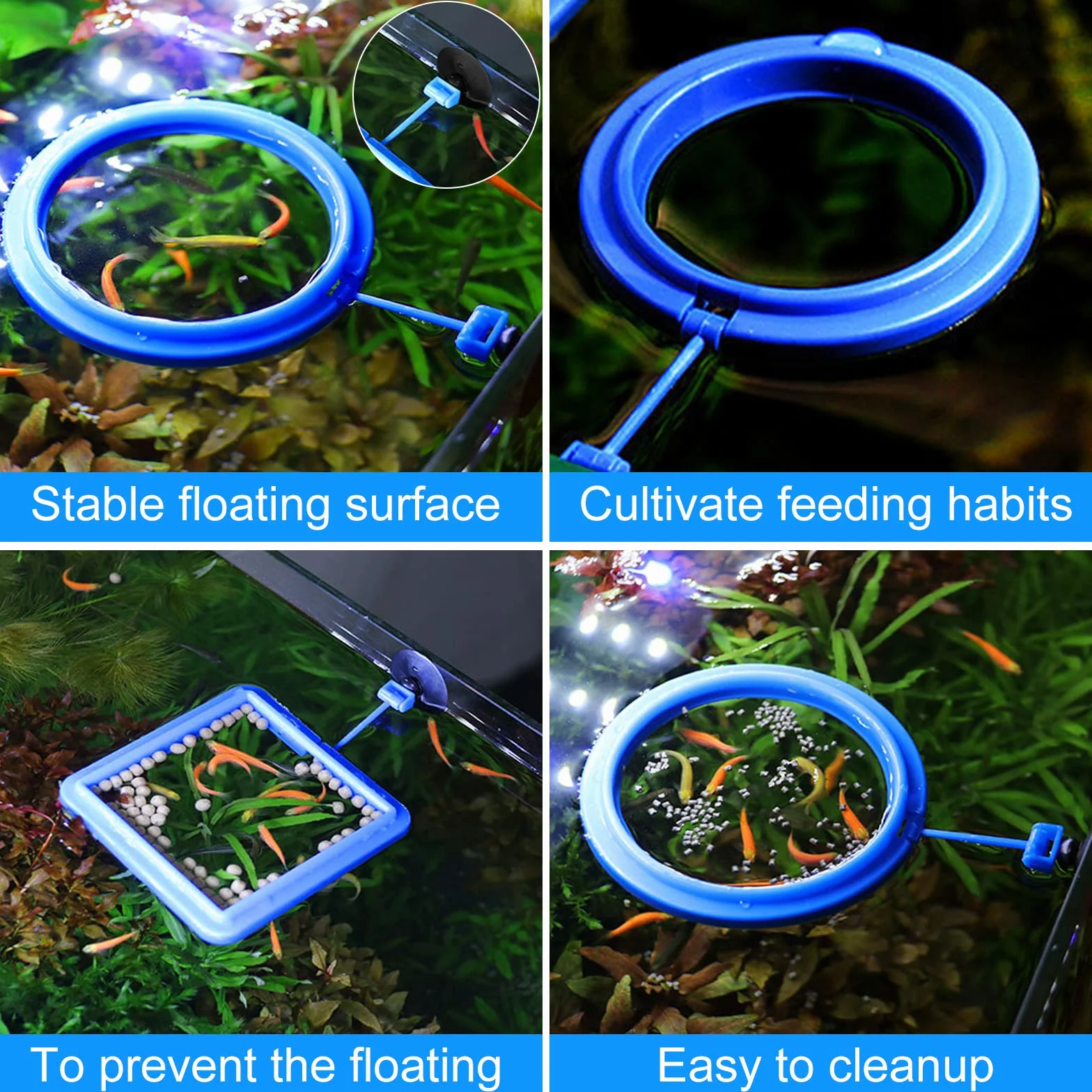 Lot de 2 mangeoires pour poissons d'aquarium - Accessoires circulaires pour guppys, bettas, poissons rouges, tortues (bleu)