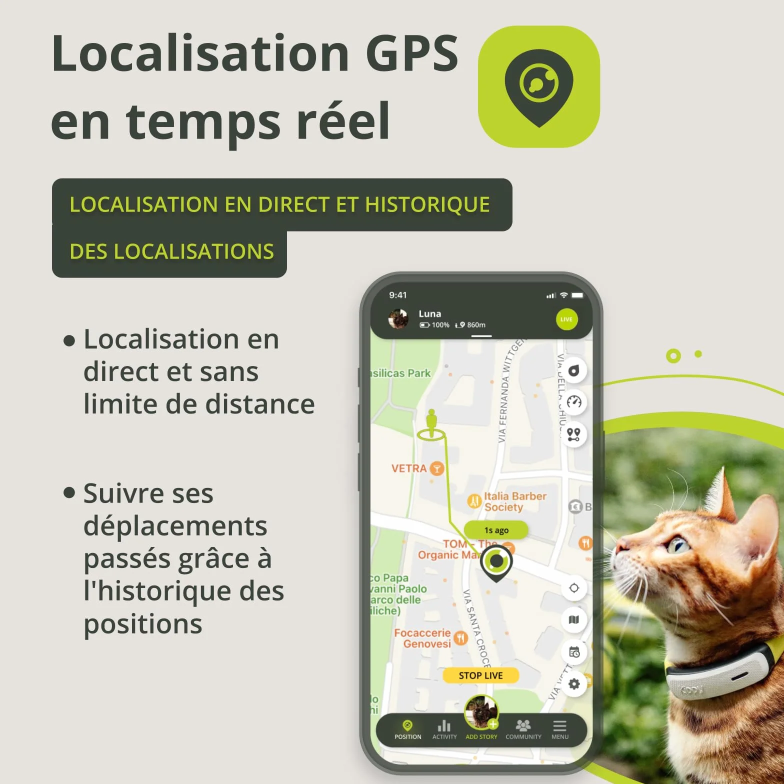 KIPPY Collier GPS pour Chats Kippy Cat Color – Traceur GPS de Santé et d'Activité Anti-étranglement avec Alerte Instantanée