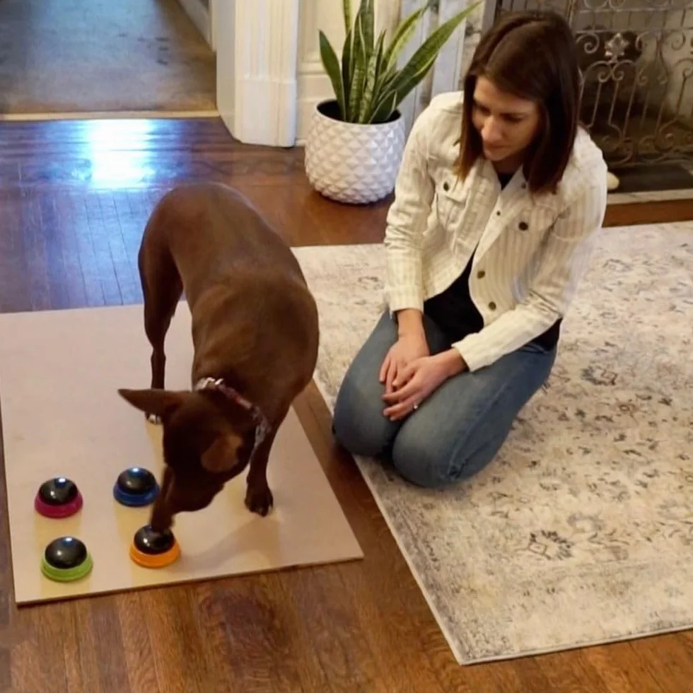 Learning Resources Hunger for Words Kit de démarrage pour Chien Parlant, Boutons avec Message enregistrable pour Chiens, Boutons pour Chien Parlant, apprends à Ton Chien à Parler