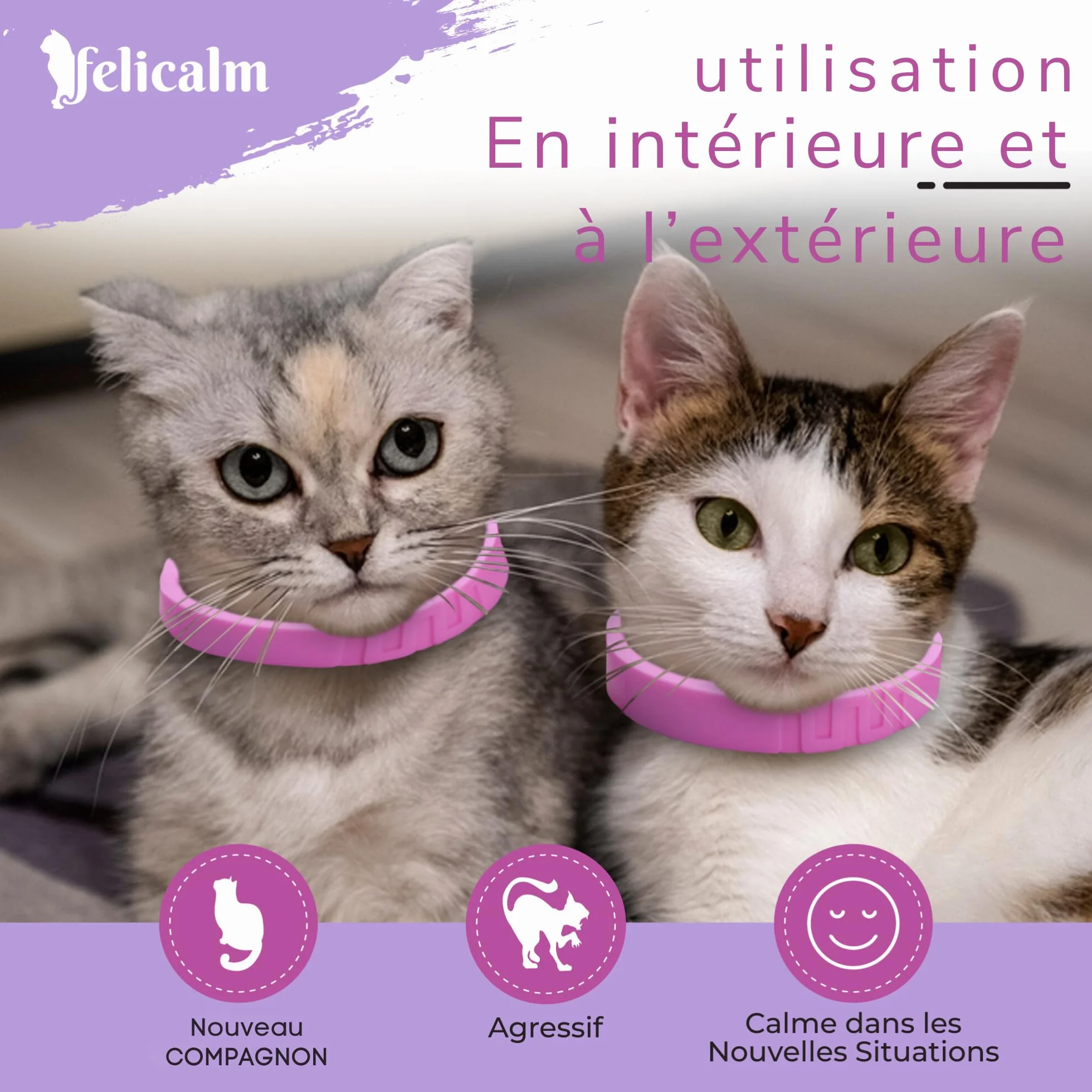 Félicalm Paris Colliers Anti-Stress Chat Chaton 2 Pièces 60 Jours Valériane Phéromone Camomille Lavande