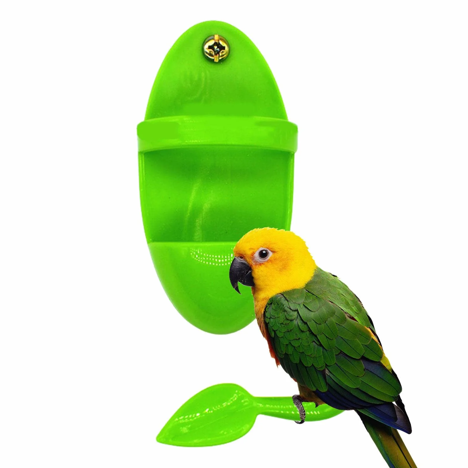 Porte-os de seiche pour Cage à Oiseaux - Support à Os de seiche pour Perroquets, Calopsittes, Perruche