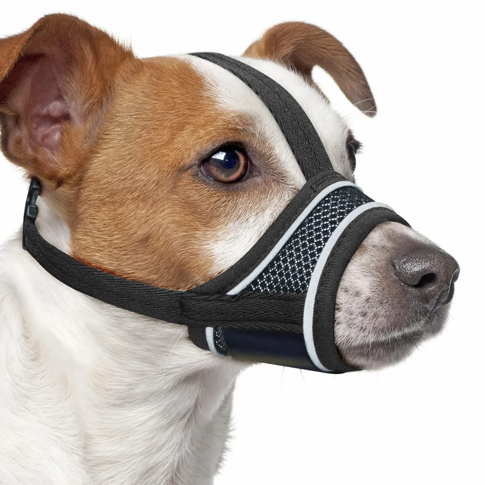 Muselière Chien Réglable en Nylon Reflectif, Soft et Confortable avec Système d'ajustement pour Petits Chiens, Idéale pour Promenades et Entraînement