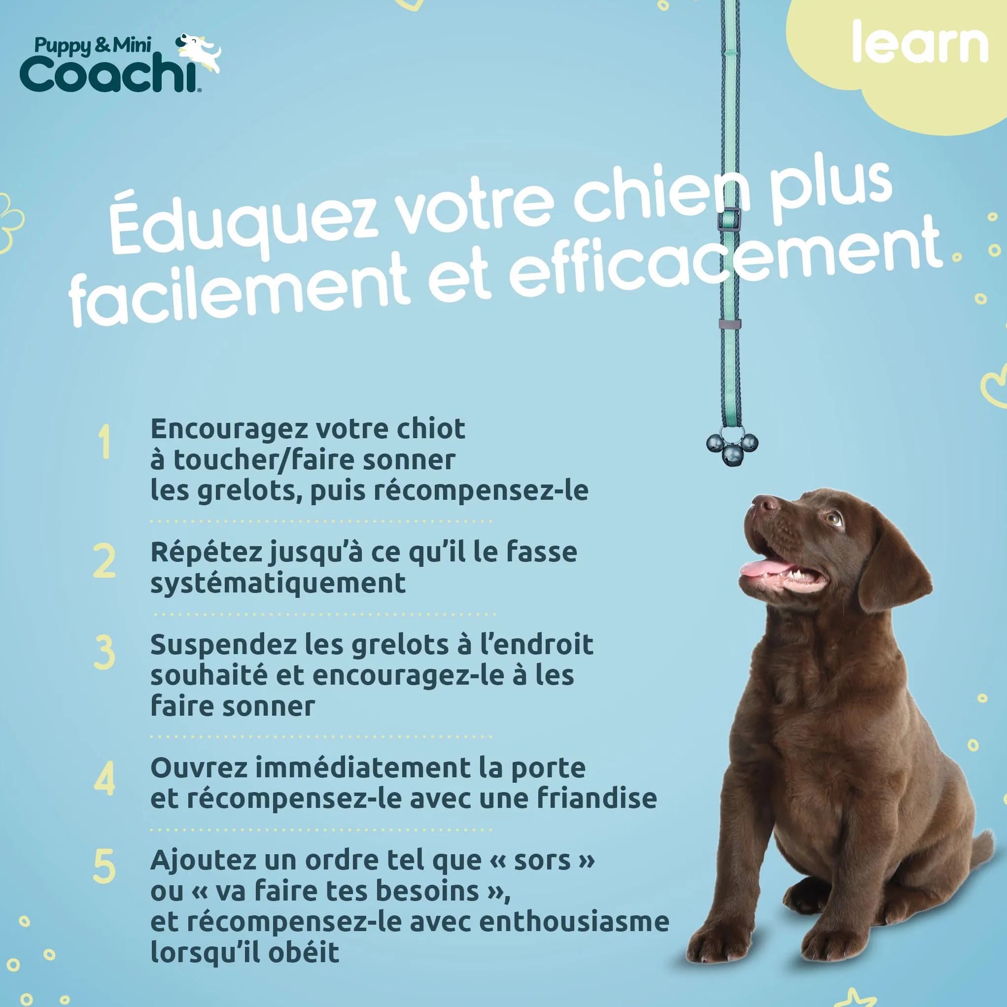 Coachi Toilet Training Bells pour Chiots et Nouveaux Chiens. Éducation à la Maison, Stop grattements aux Portes, faciles à Utiliser et Entendre, réglable. Accessoire idéal pour Dressage au clicker