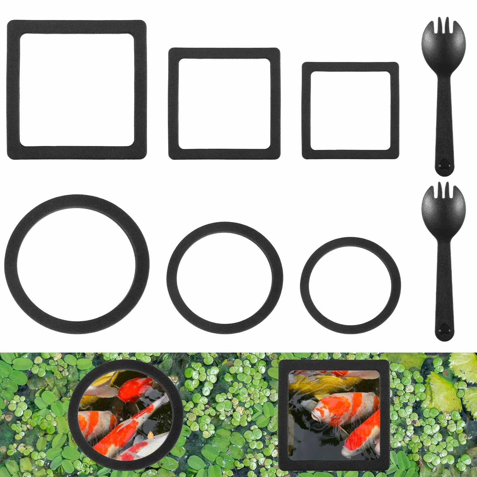 Betta Lot de 6 anneaux d'alimentation pour poissons Barrière flottante EVA pour aquarium Accessoires support plantes flottantes Mangeoire