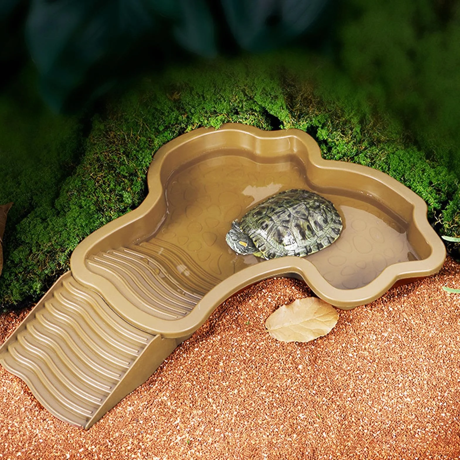 Mangeoire Tortue Piscine 35x28,5x4,3 cm Baignoire Reptiles Bassin de Bain