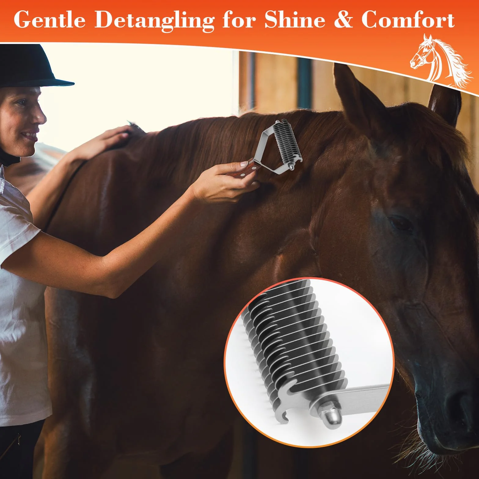 Brosse de Toilettage Cheval avec Porte-Peignes en Cuir, Manche en Bois pour Chevaux Chats Chiens