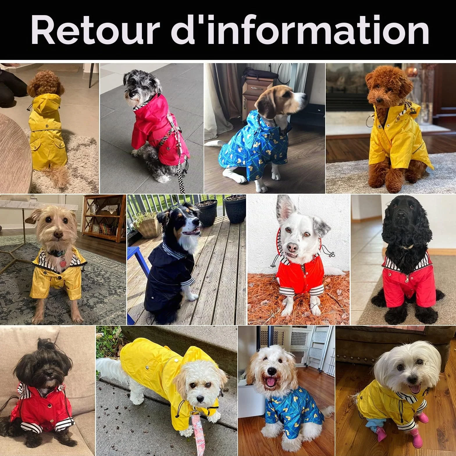 MOREZI Imperméable pour Chien avec Boutons et Fermetures éclair réfléchissants, Capuche Amovible, Jaune