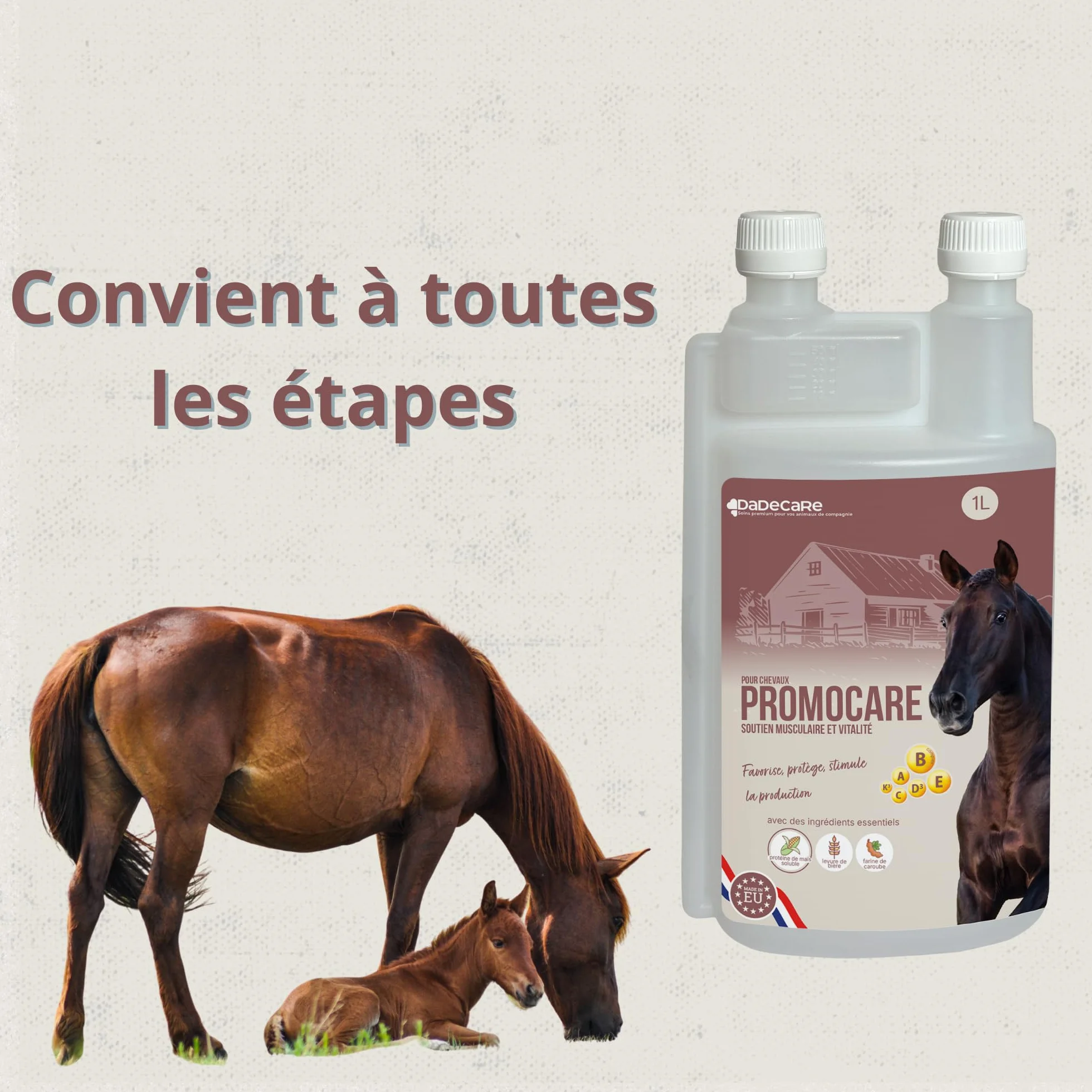 Promocare - Vitamines pour Chevaux 1 L avec acides aminés Essentiels et antioxydants - Complexe vitaminique B, E, C et A - Soutien au métabolisme, à l'énergie, à la récupération