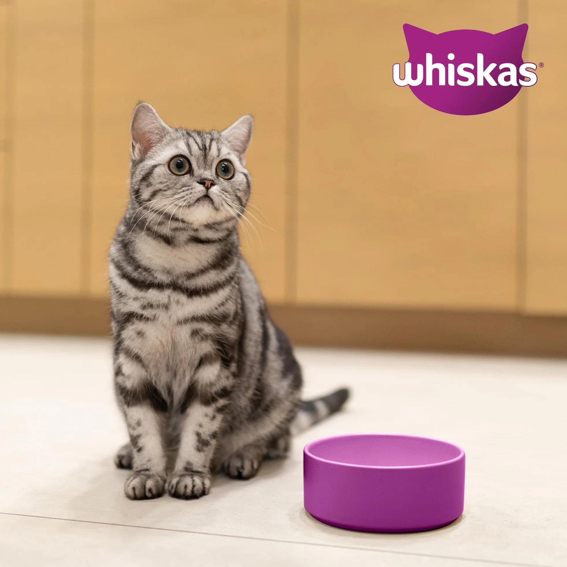 WHISKAS Croquettes pour chat adulte 7 kg au poulet
