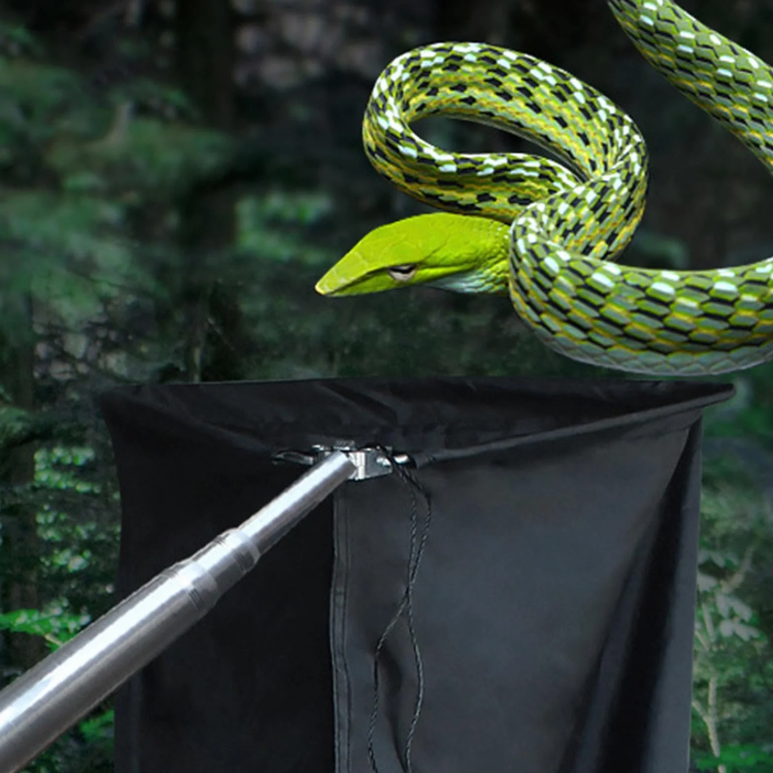 Attrape-Serpent Extensible avec Sac, Outil de Manipulation à Longue Portée pour Amateurs de Serpents