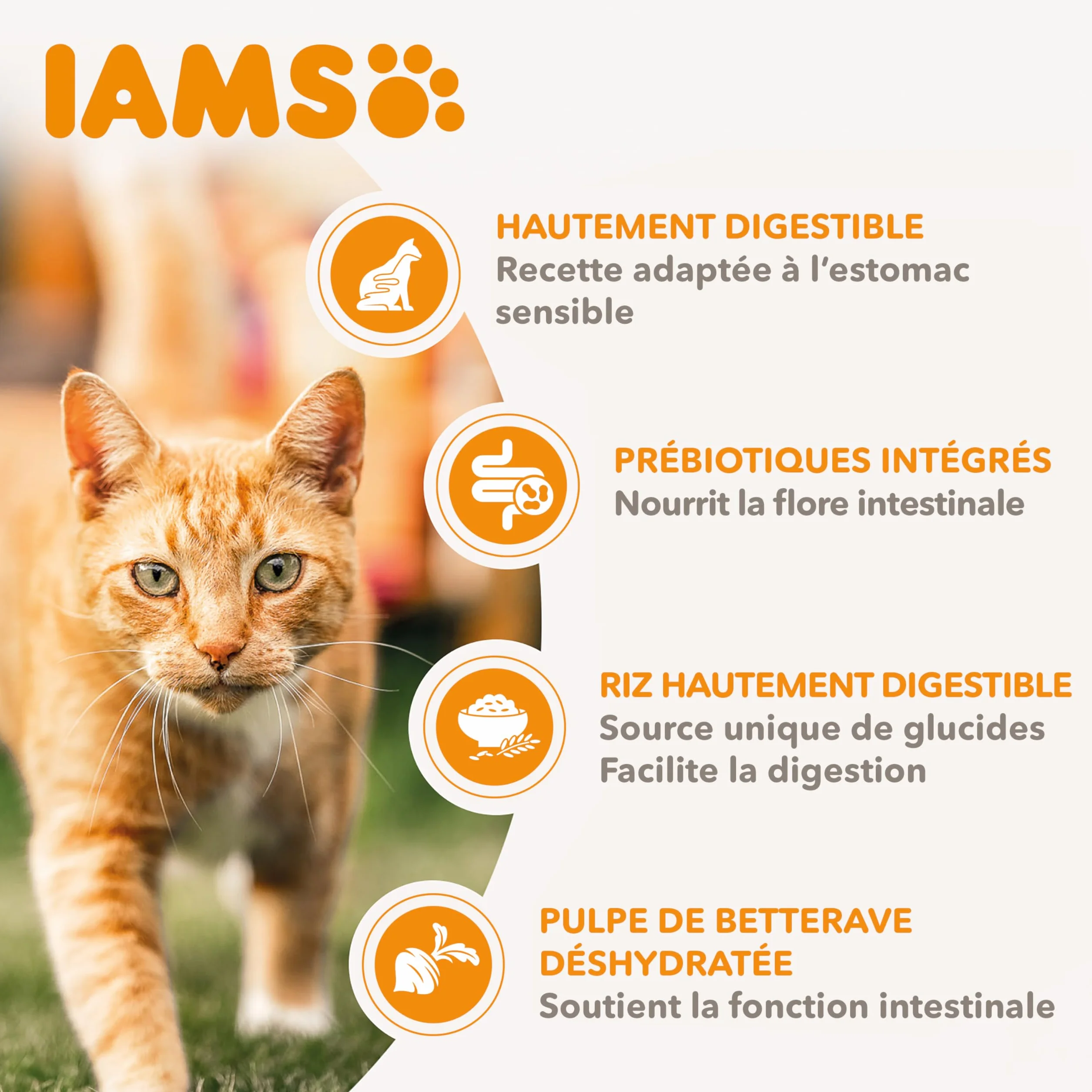 IAMS Advanced Nutrition Chat Adulte Digestion Sensible Alimentation sèche à la Dinde 10kg