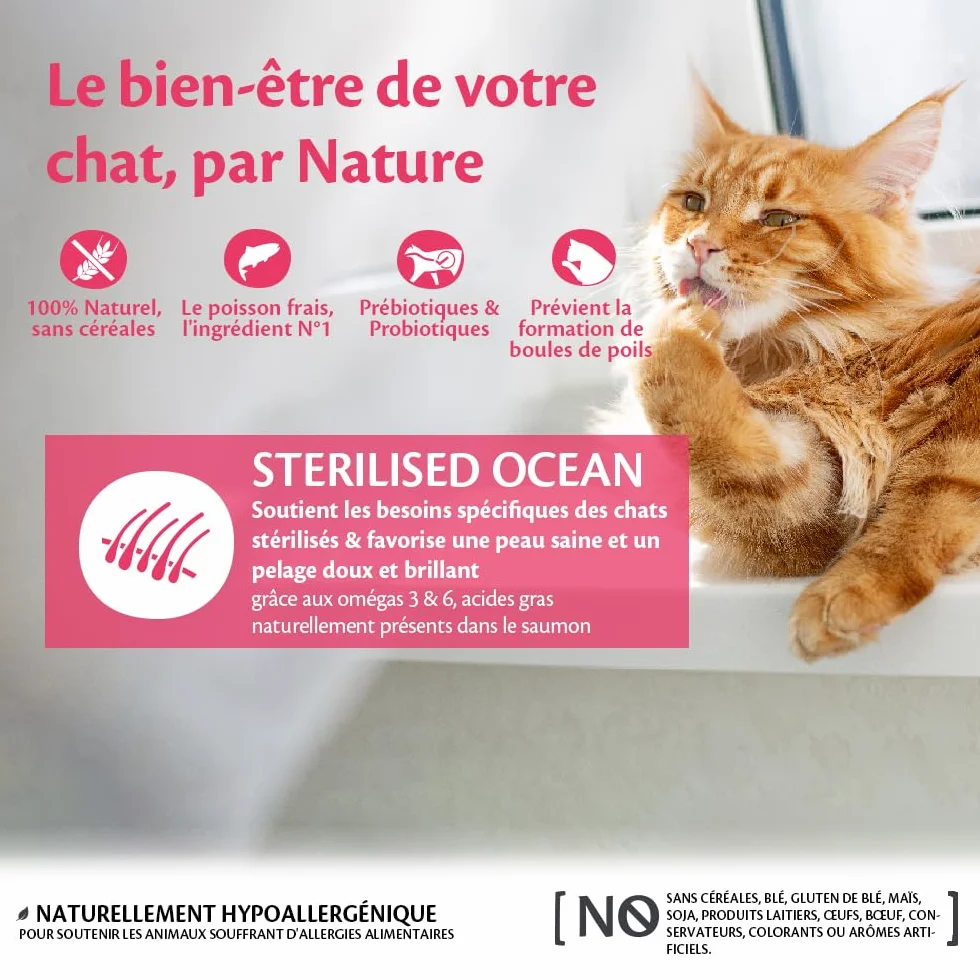 WELLNESS CORE Croquettes pour Chats Stérilisés Saumon sans Céréales 4 kg
