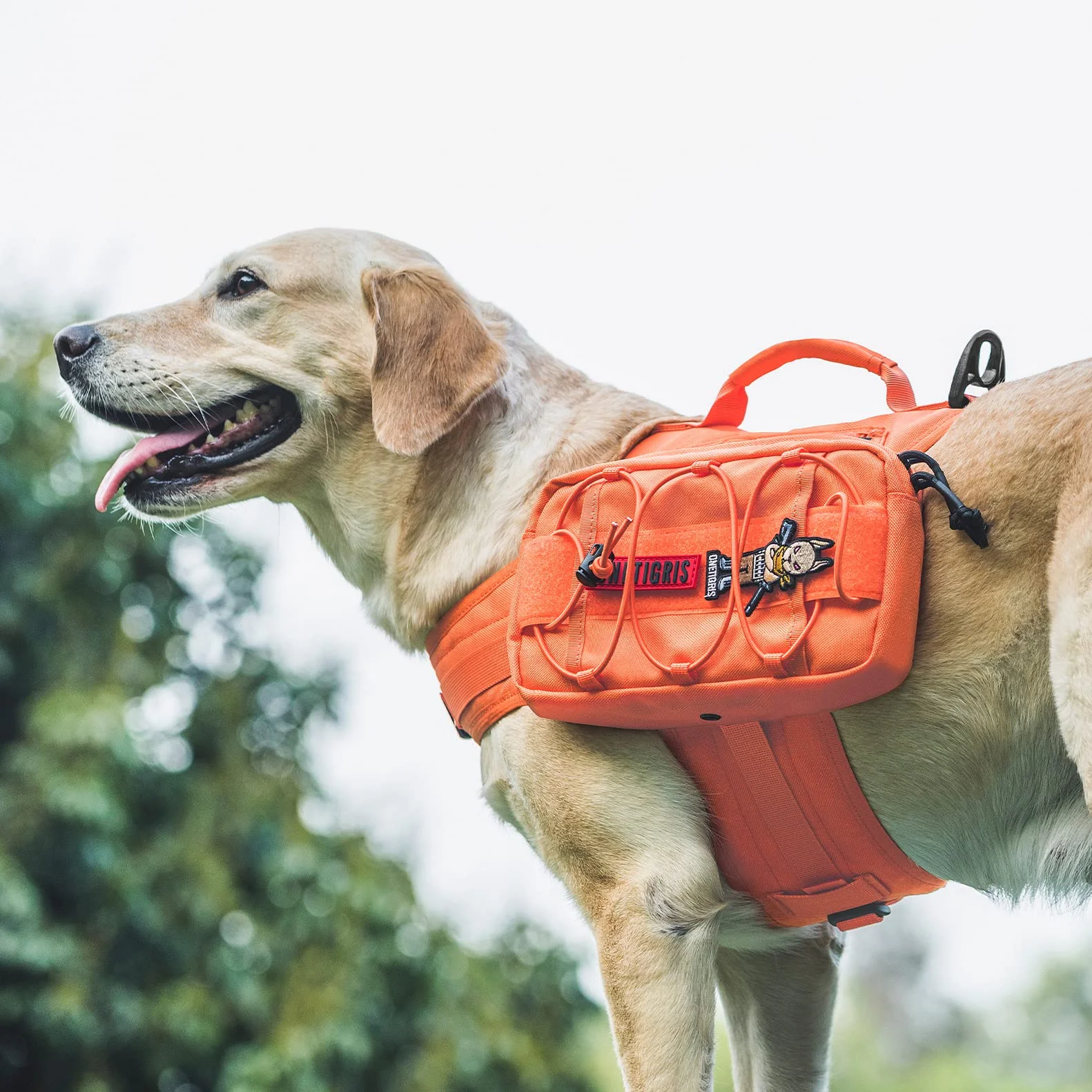 OneTigris Mammoth Sac à dos pour chien version 2.0 L orange