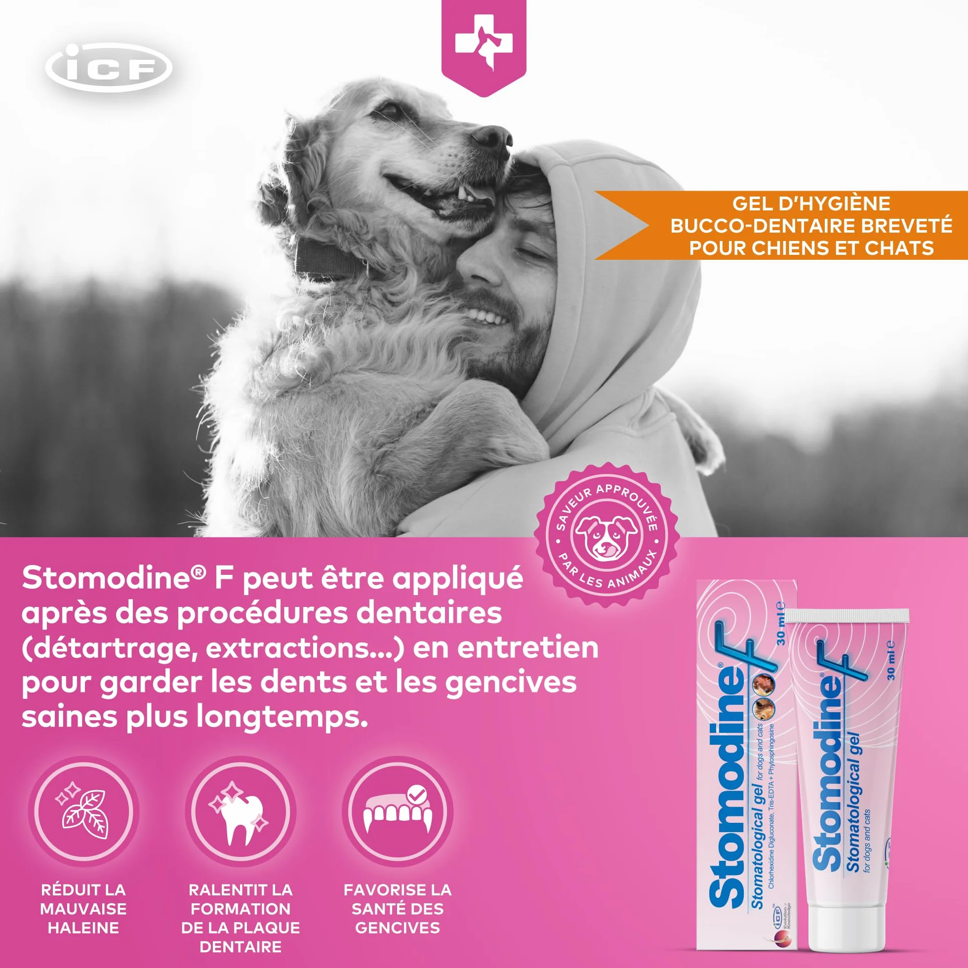 ICF Stomodine F Gel Appétent Hygiène Buccale Chiens Chats 30ml
