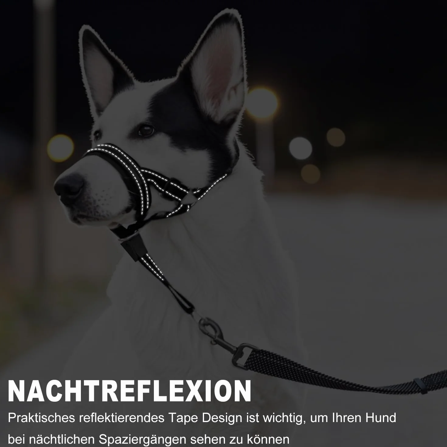 Voarge Harnais de dressage pour chien, muselière pour animaux de compagnie, facile à installer, léger, avec sangle de nez rembourrée, protège-dents pour chien, support d'entraînement pour éviter les