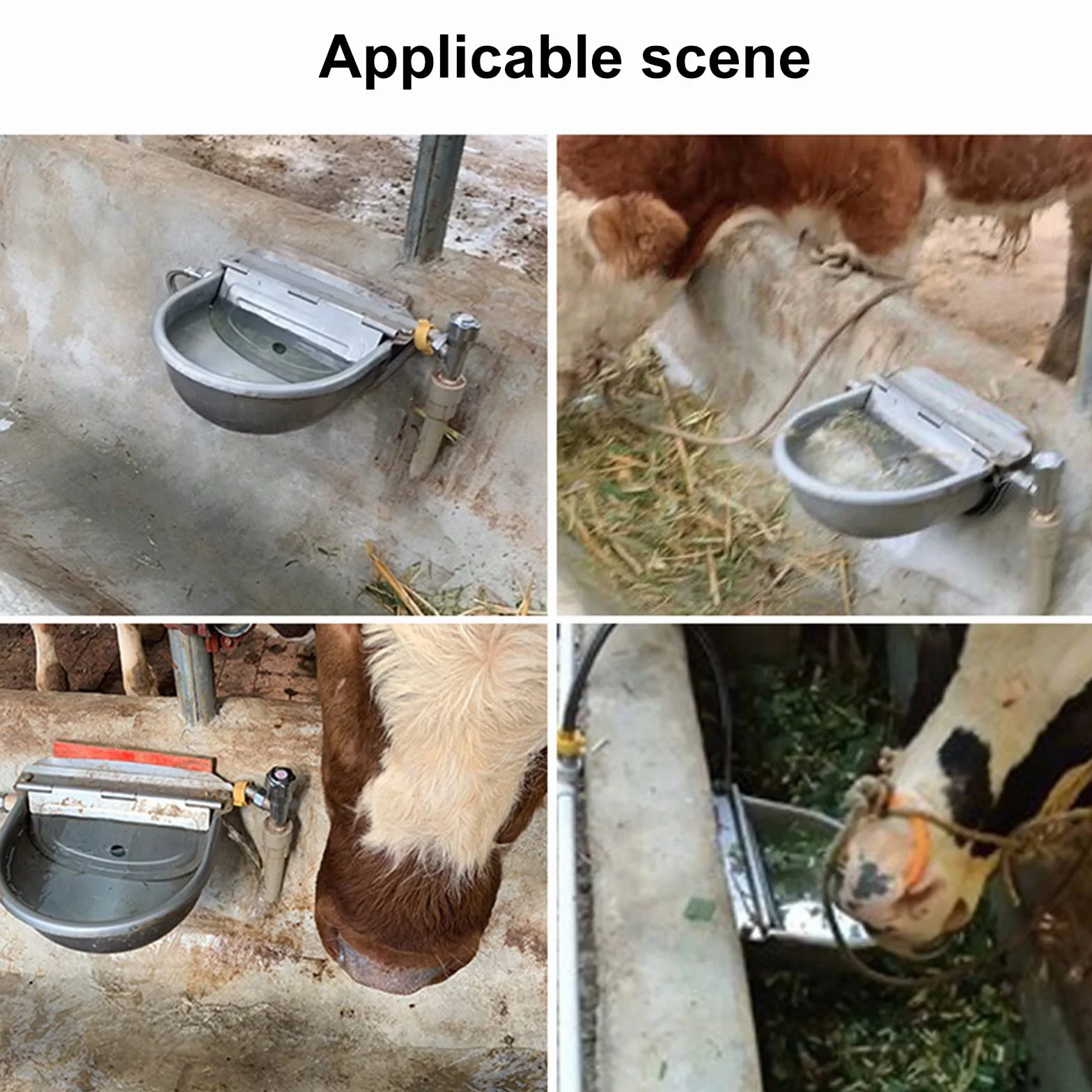 Abreuvoir Automatique en Acier Inoxydable pour Chevaux, Bovins avec 2 Flotteurs