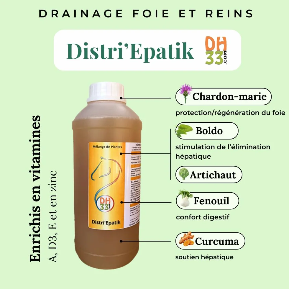 Drainage Foie Reins Cheval Liquide – Détox Naturelle, Digestion & Vitalité – Plantes Hépatiques (Chardon-Marie, Artichaut, Curcuma) – Fabriqué en France
