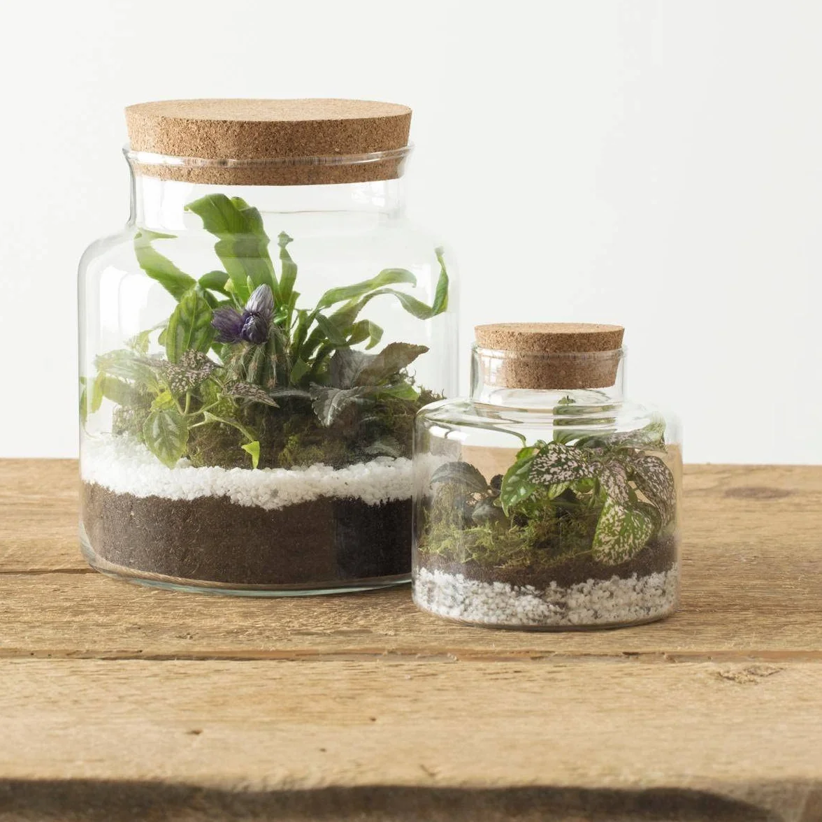 Atmosphera Terrarium Verre H21 cm