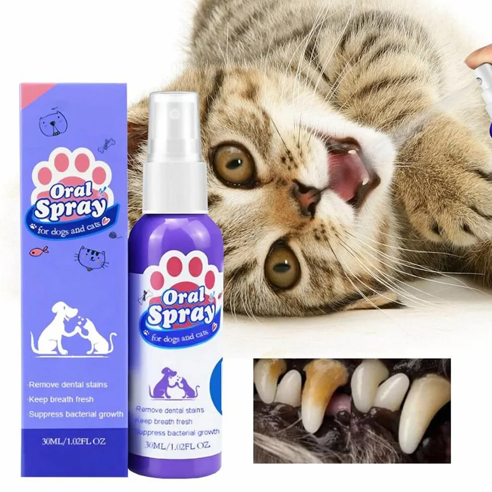 Spray nettoyant dentaire pour chiens et chats, soins bucco-dentaires animaux, élimination mauvaise haleine