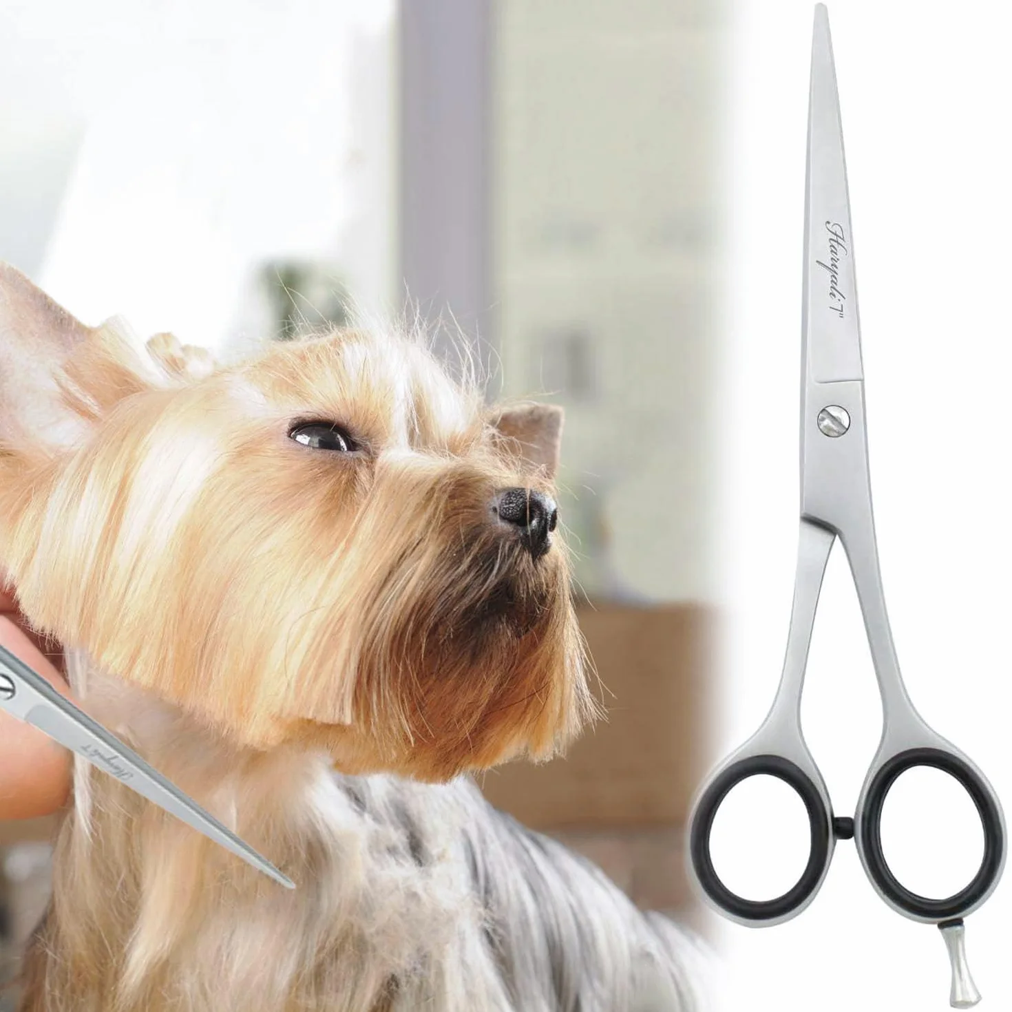 Haryali London Ciseaux de toilettage droits en acier inoxydable pour chien et chat 17,8 cm