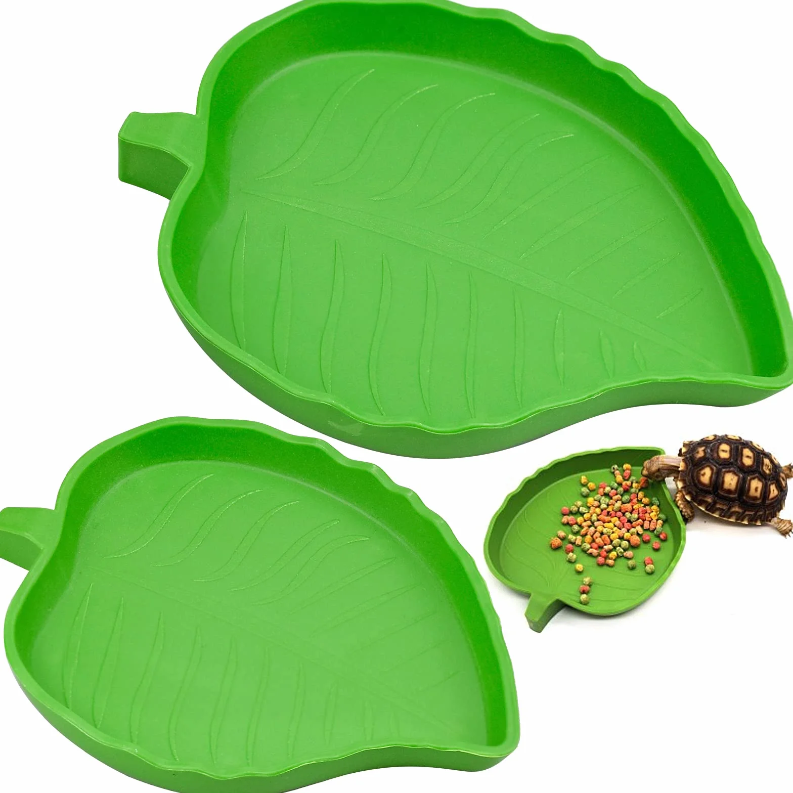 Abreuvoir Tortue Plat Reptile 2 Pièces Bol d'eau pour Petits Animaux Domestiques Lézard Araignée Scorpion Vert