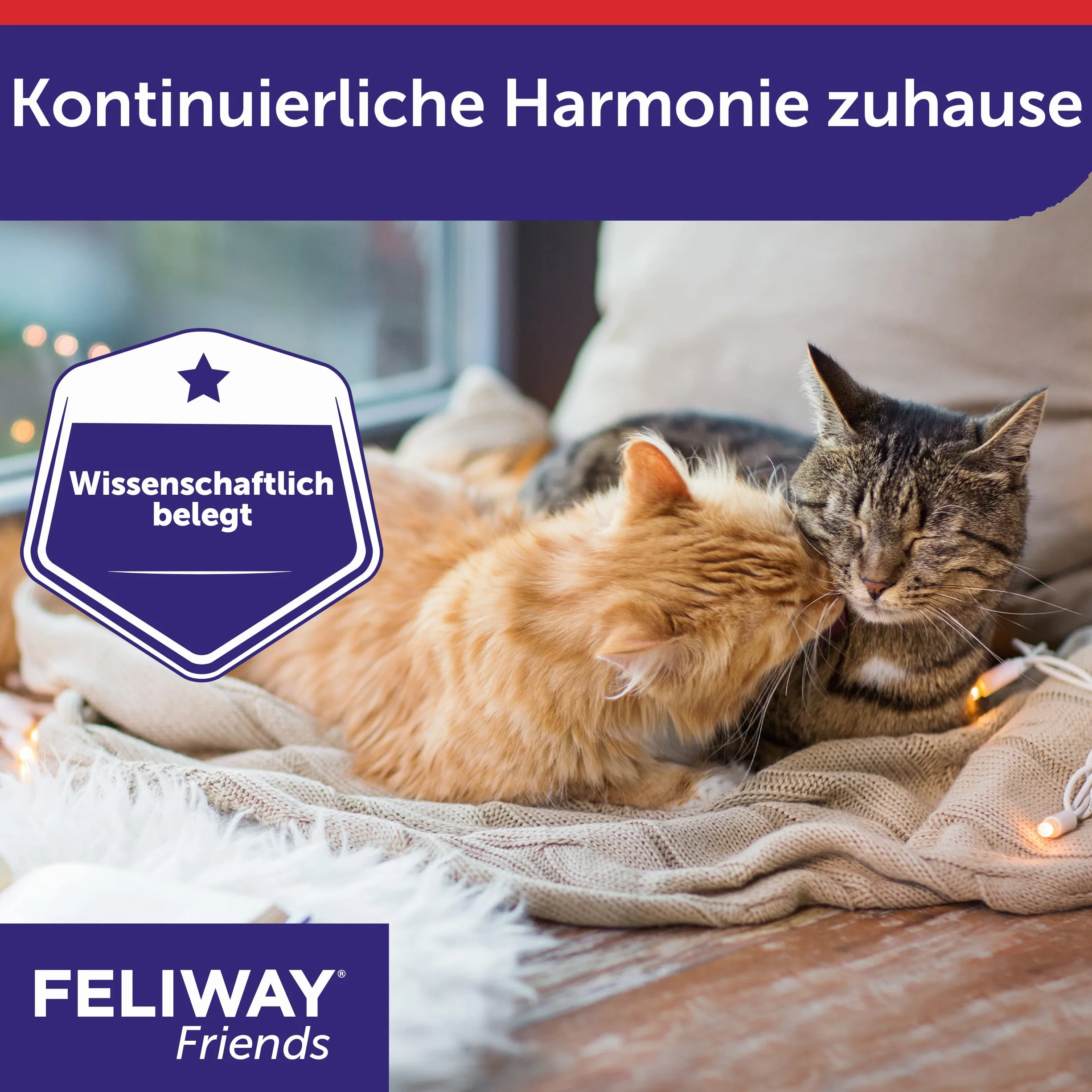 Feliway D89440L Friends 3 x 30 Jours 144 ML