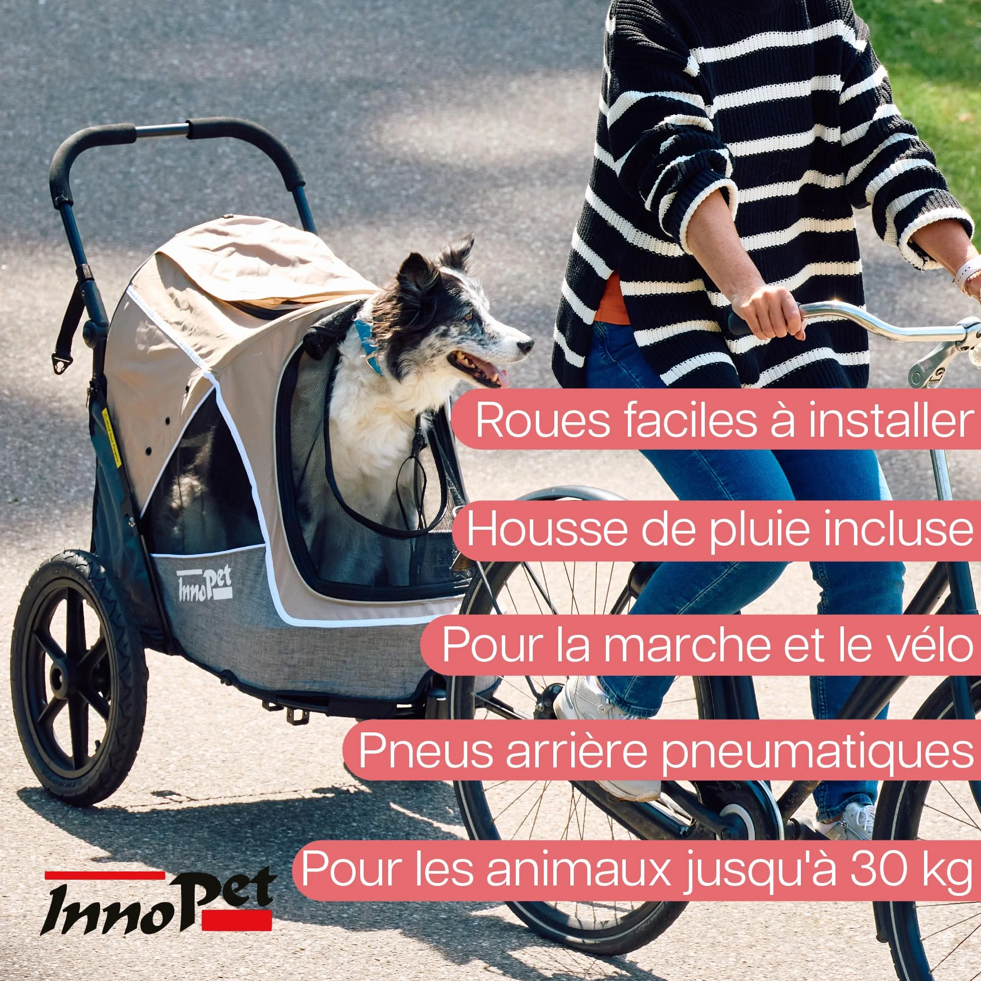 Innopet Sporty Evolution Latte Poussette et Remorque pour Chien 2 en 1 Beige/Gris 30 kg avec Housse de Pluie