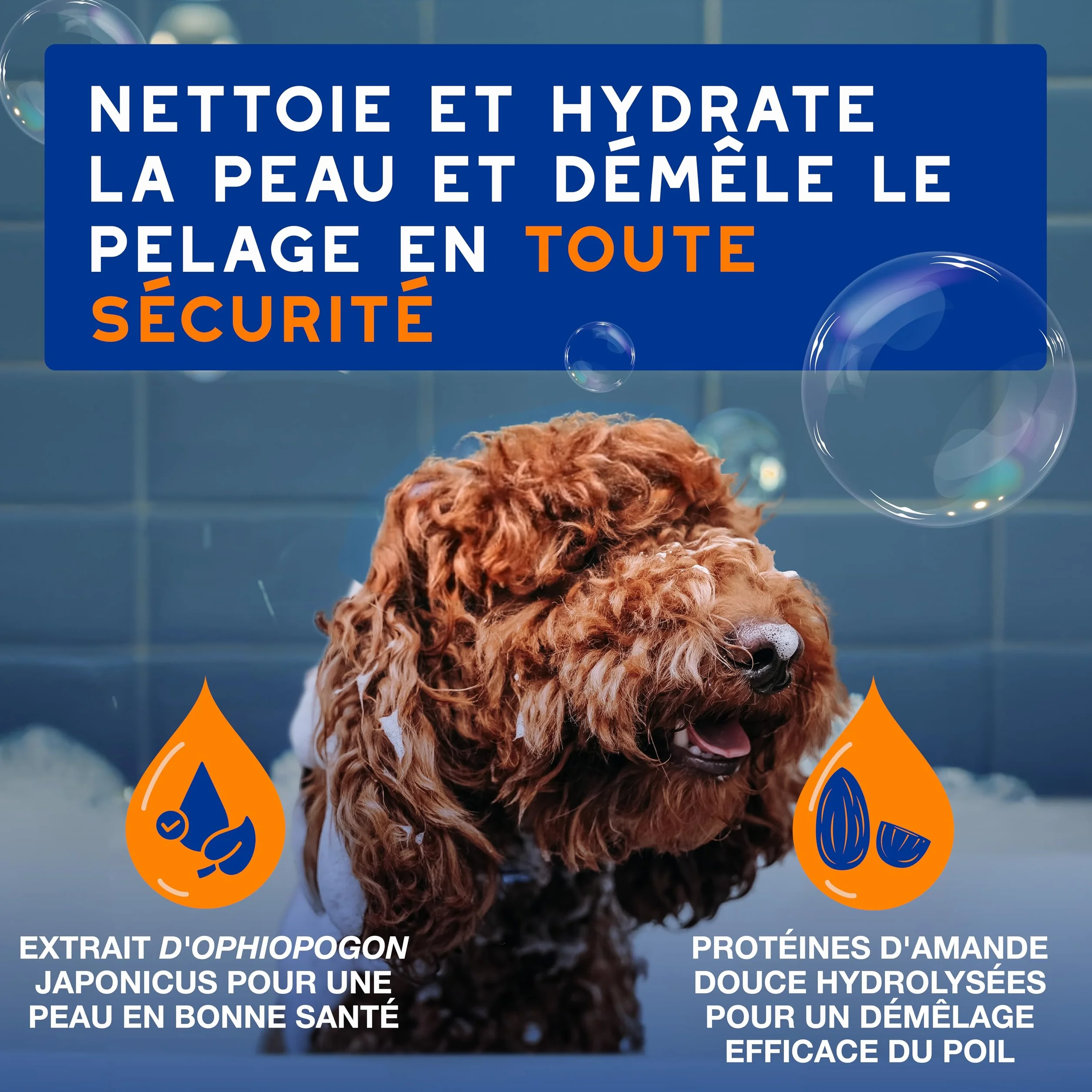 DOUXO Skin & Coat Spa - Ultra-Safe Shampoing 2 en 1 démêlant pour Chiens, 250 ML, nettoie et Hydrate en Profondeur la Peau et Le Poil, Laisse Le Pelage Doux, Soyeux et démêlé, respecte la Peau.