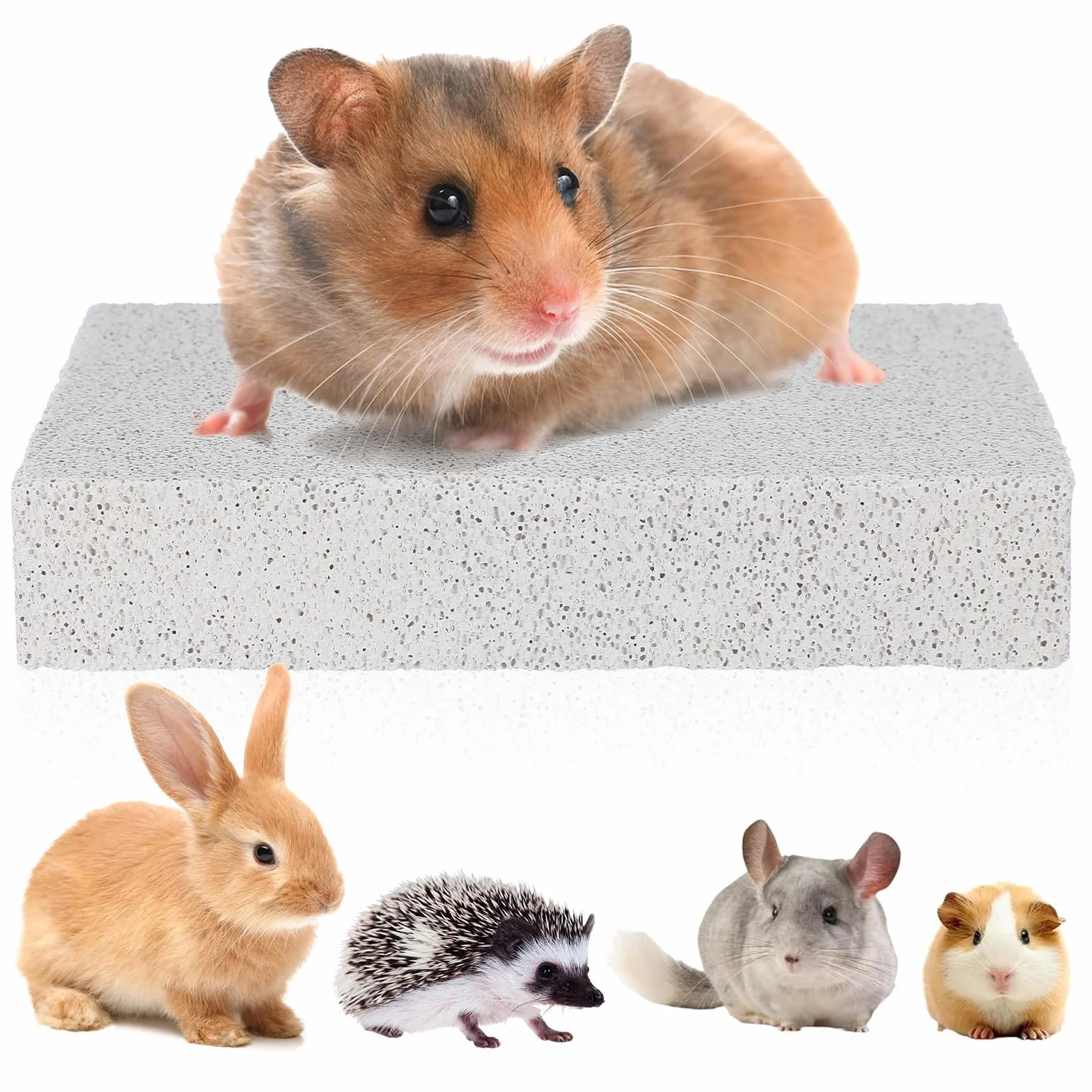 TOYANDONA Griffe de lapin pierre volcanique naturelle pour rongeurs griffoir lapin hamster